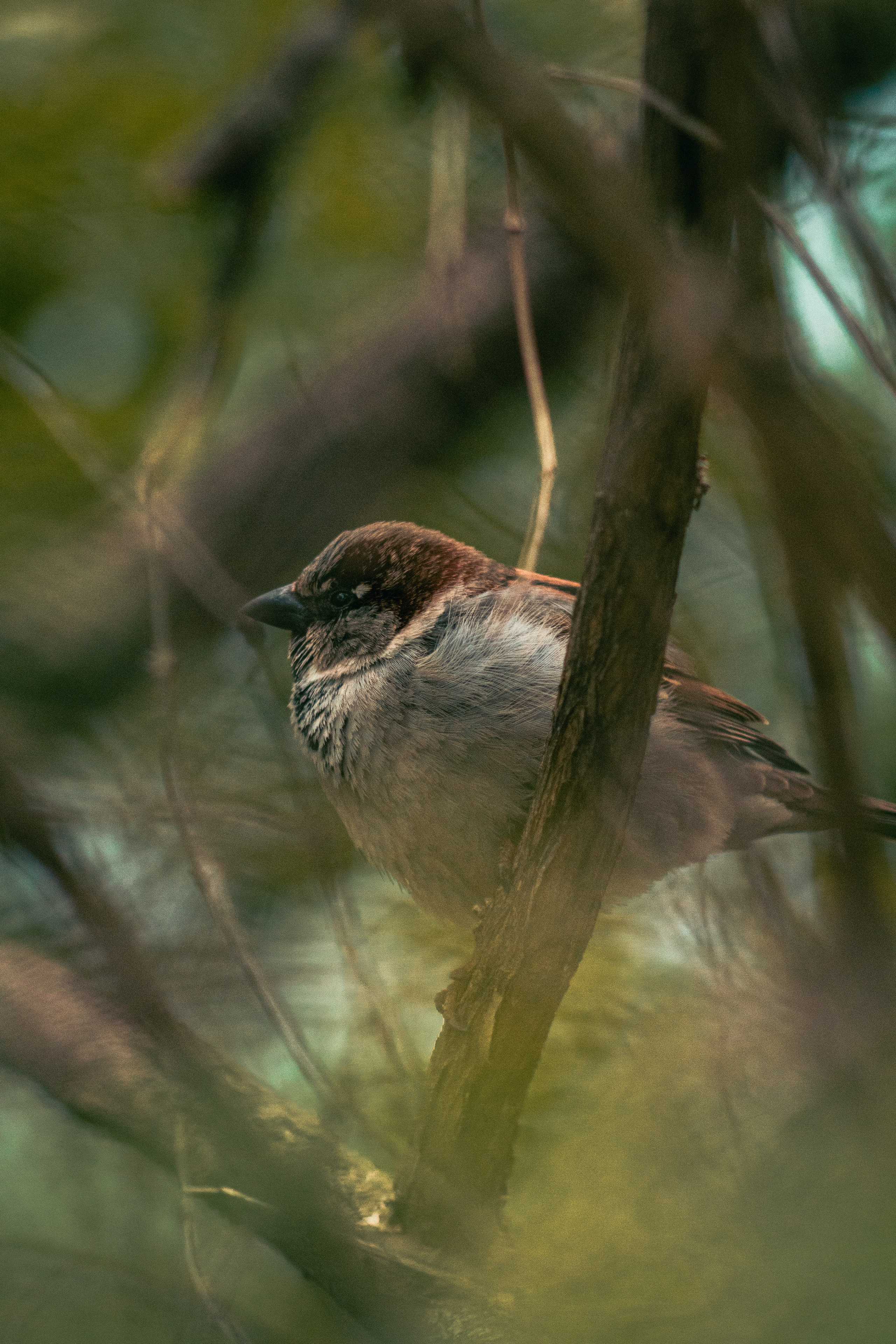 Все в перемешку. Фотограф Крутой Максим
