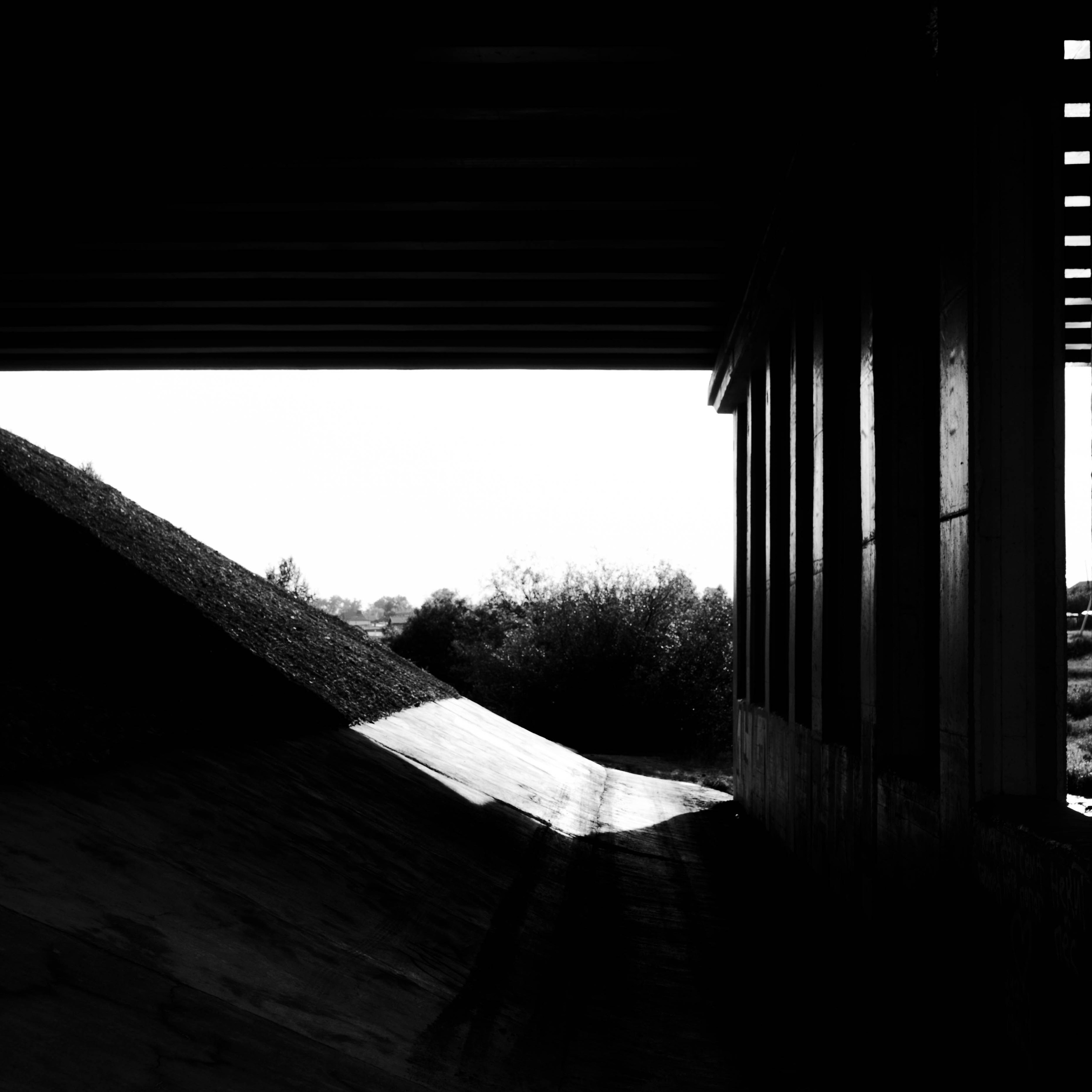 Guidelines. Whoii art