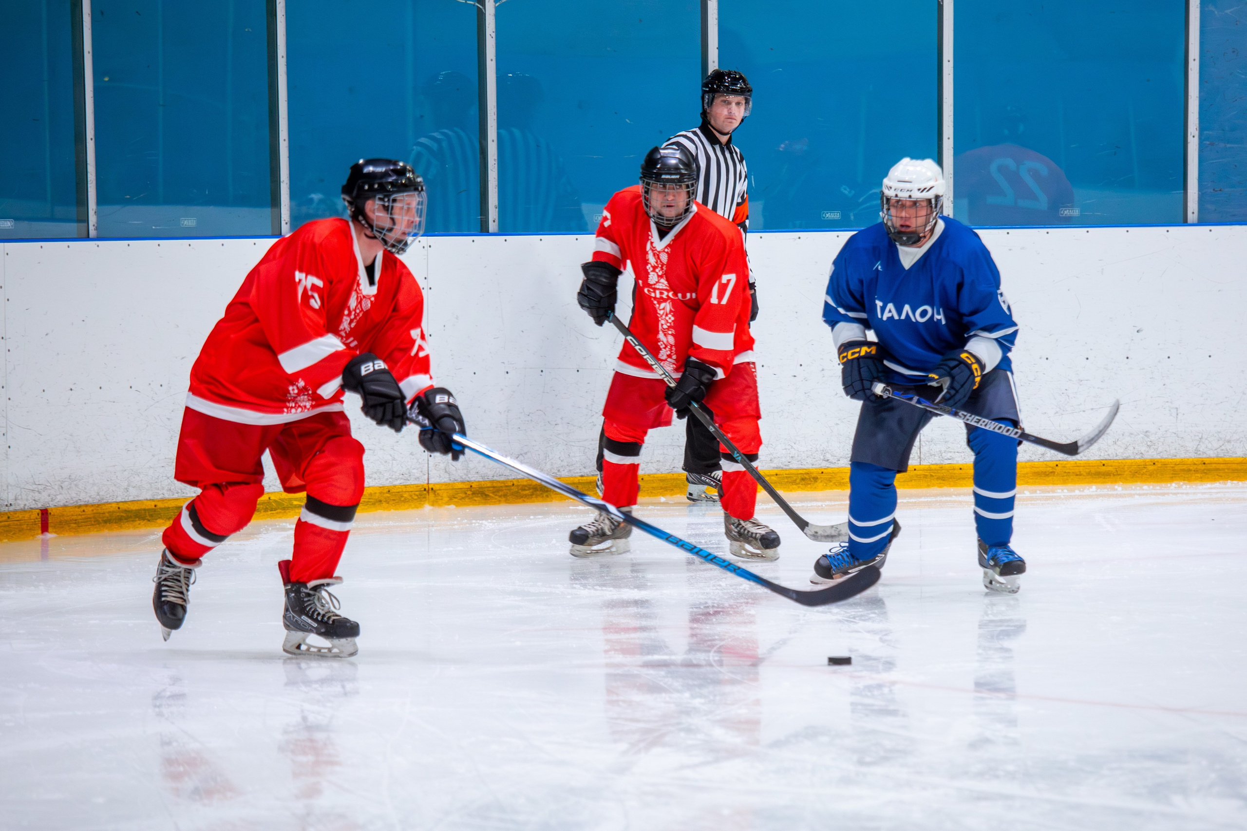 Чемпионат по хоккею. Репортажный, семейный, свадебный, портретный фотограф