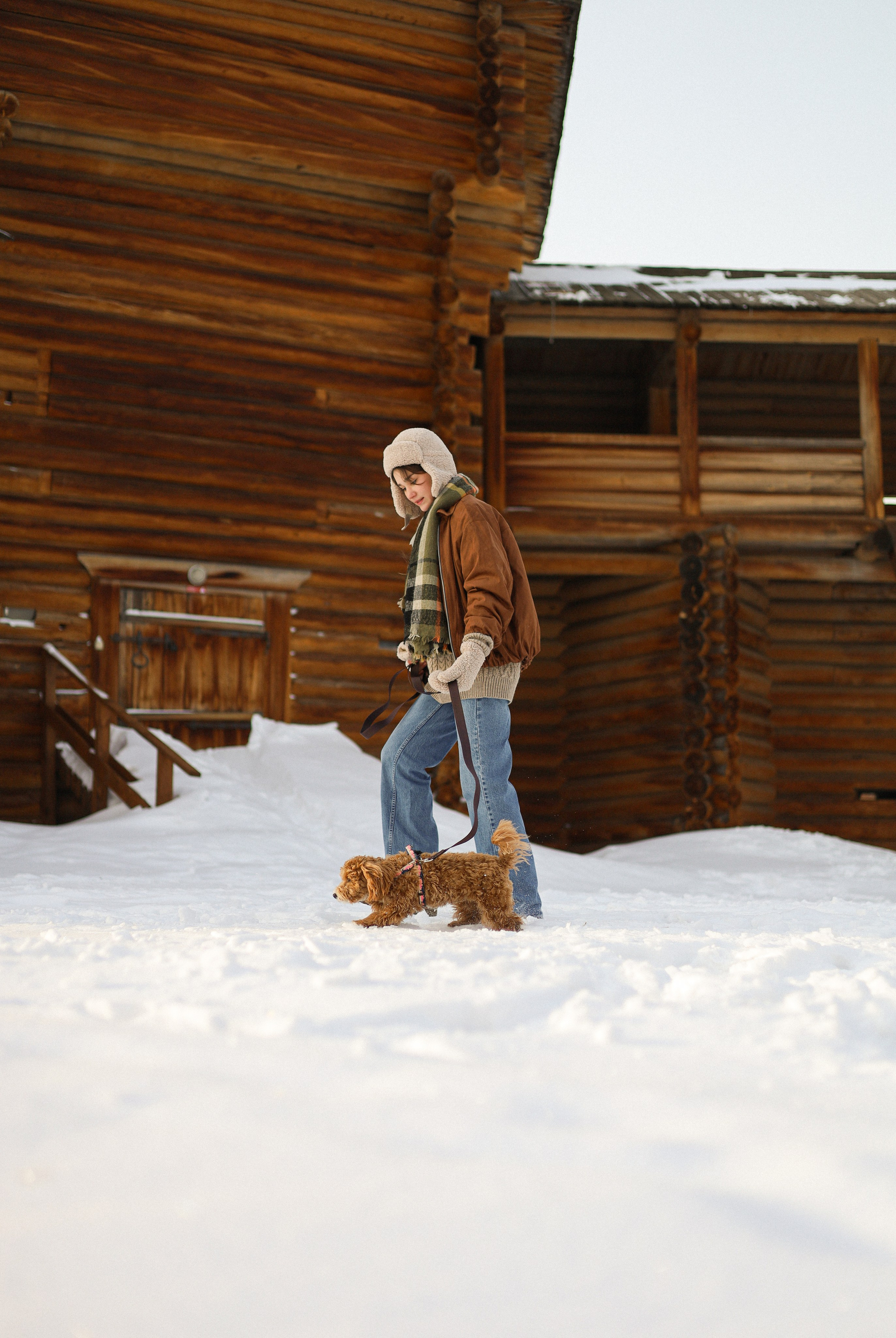 Вики и Ева. Фотограф-анималист Ксения Шевцова|Москва