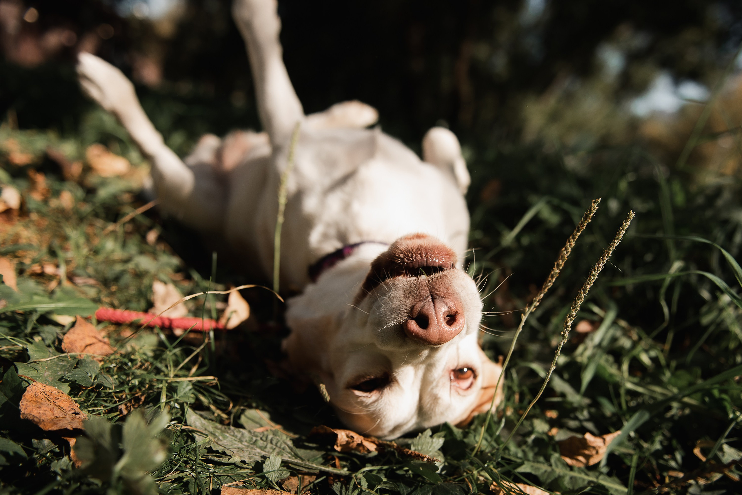 Оля и Ника. Семейный Фотограф в Москве Ирина Хохлова