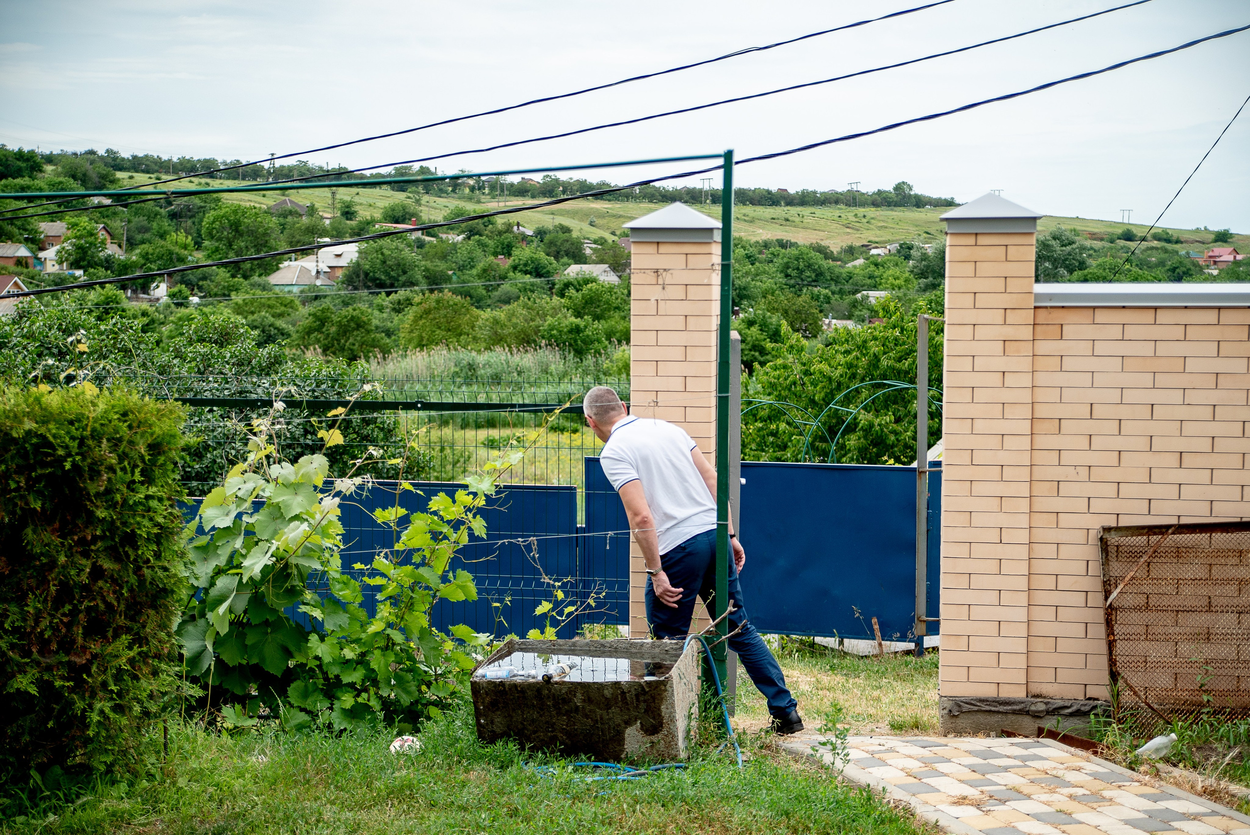 Милое торжество. Максим Матвийченко и Виктория Басова профессионалы своего дела