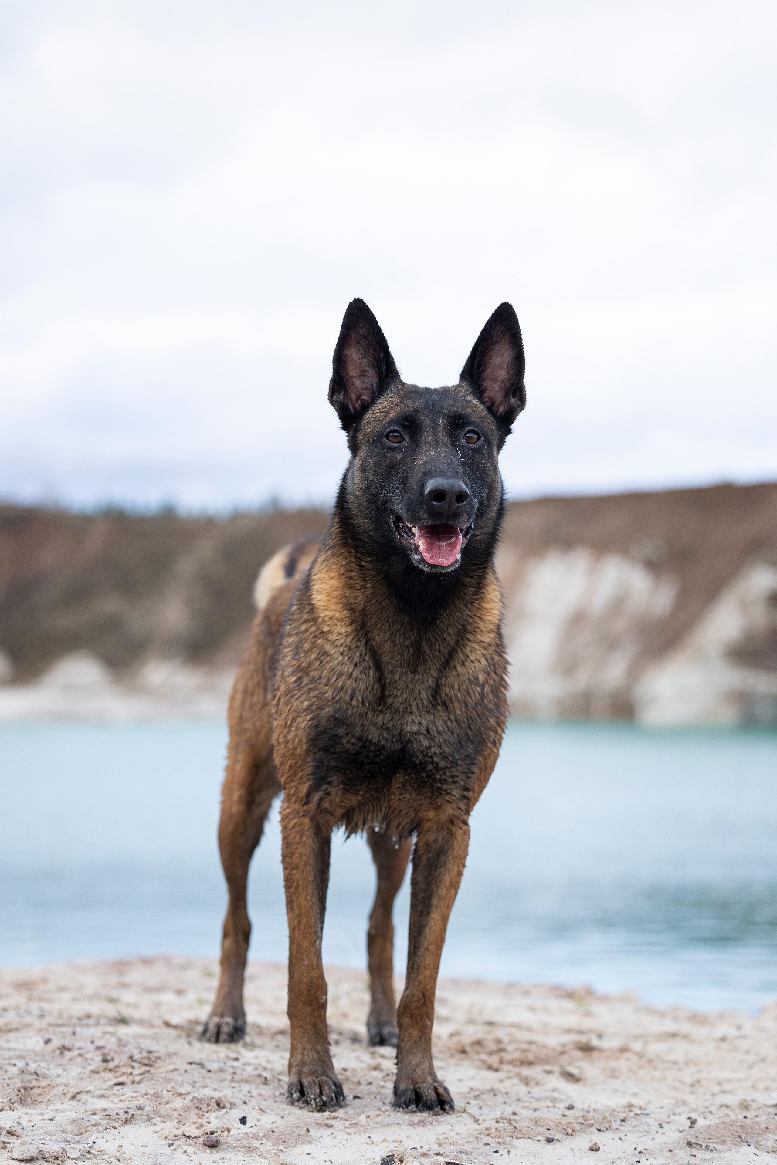 Лужские Мальдивы. Фотограф-анималист Анна Маринич