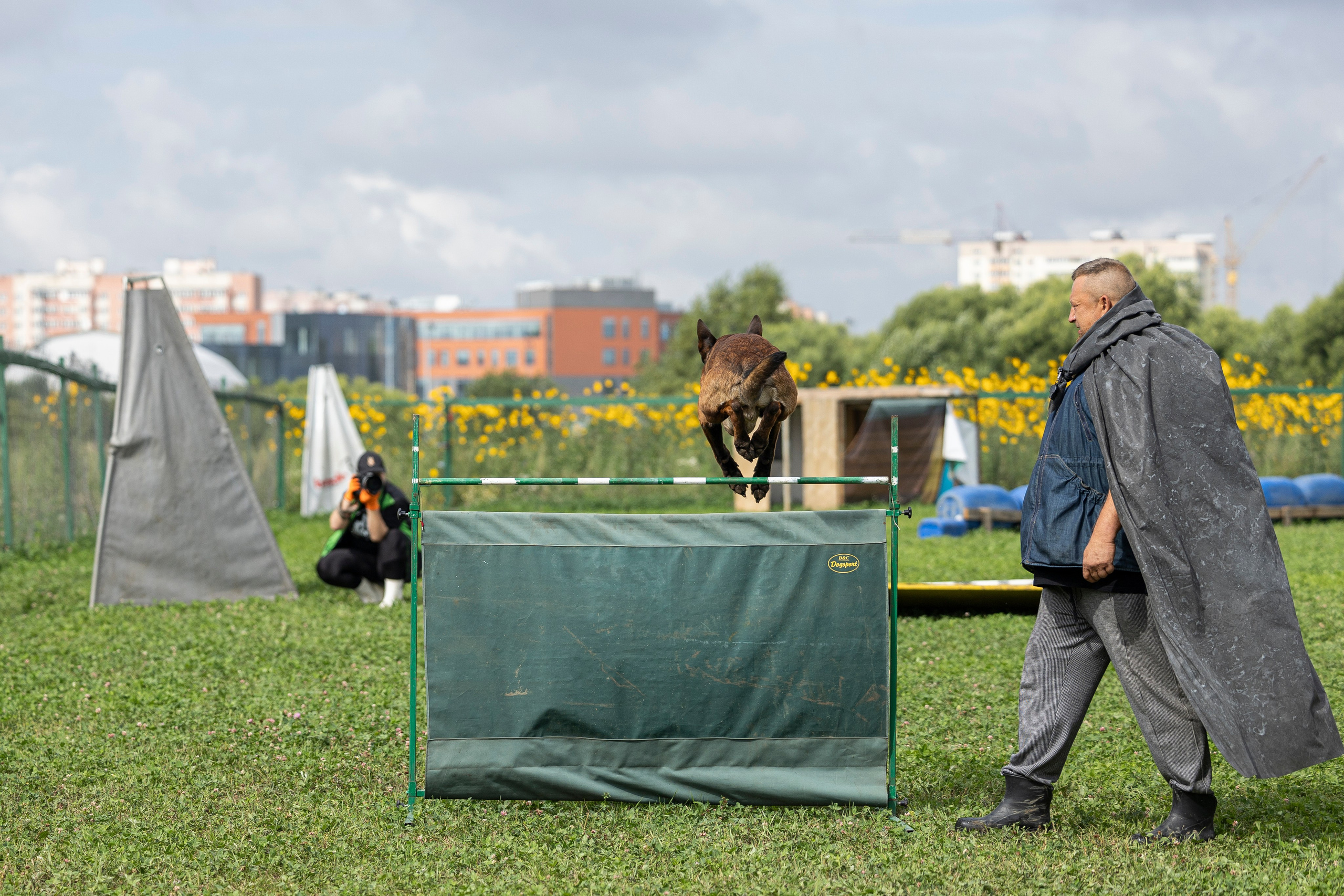 Соревнования по Мондьорингу г. Вологда 10-11.08.2024. Фотограф-анималист Анна Маринич
