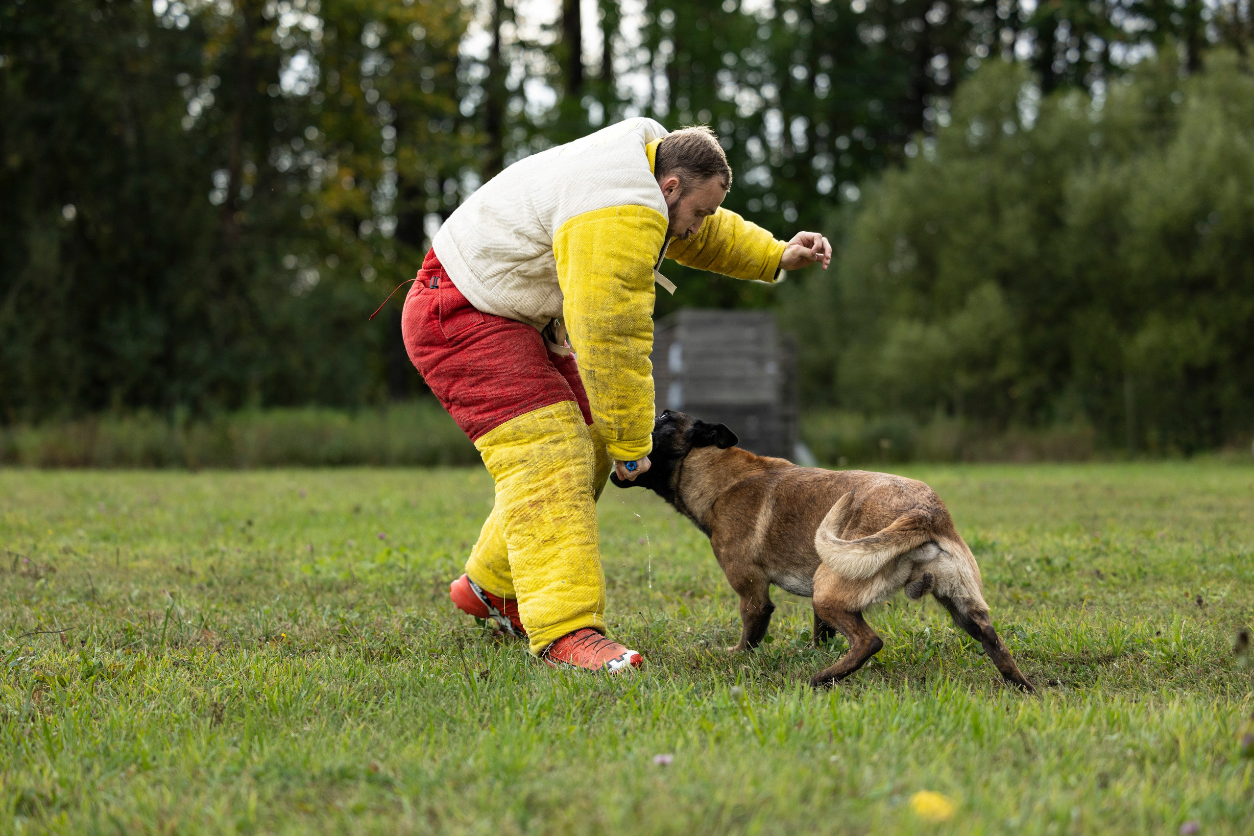 Испытания по Мондьорингу г. Пушкин. Фотограф-анималист Анна Маринич