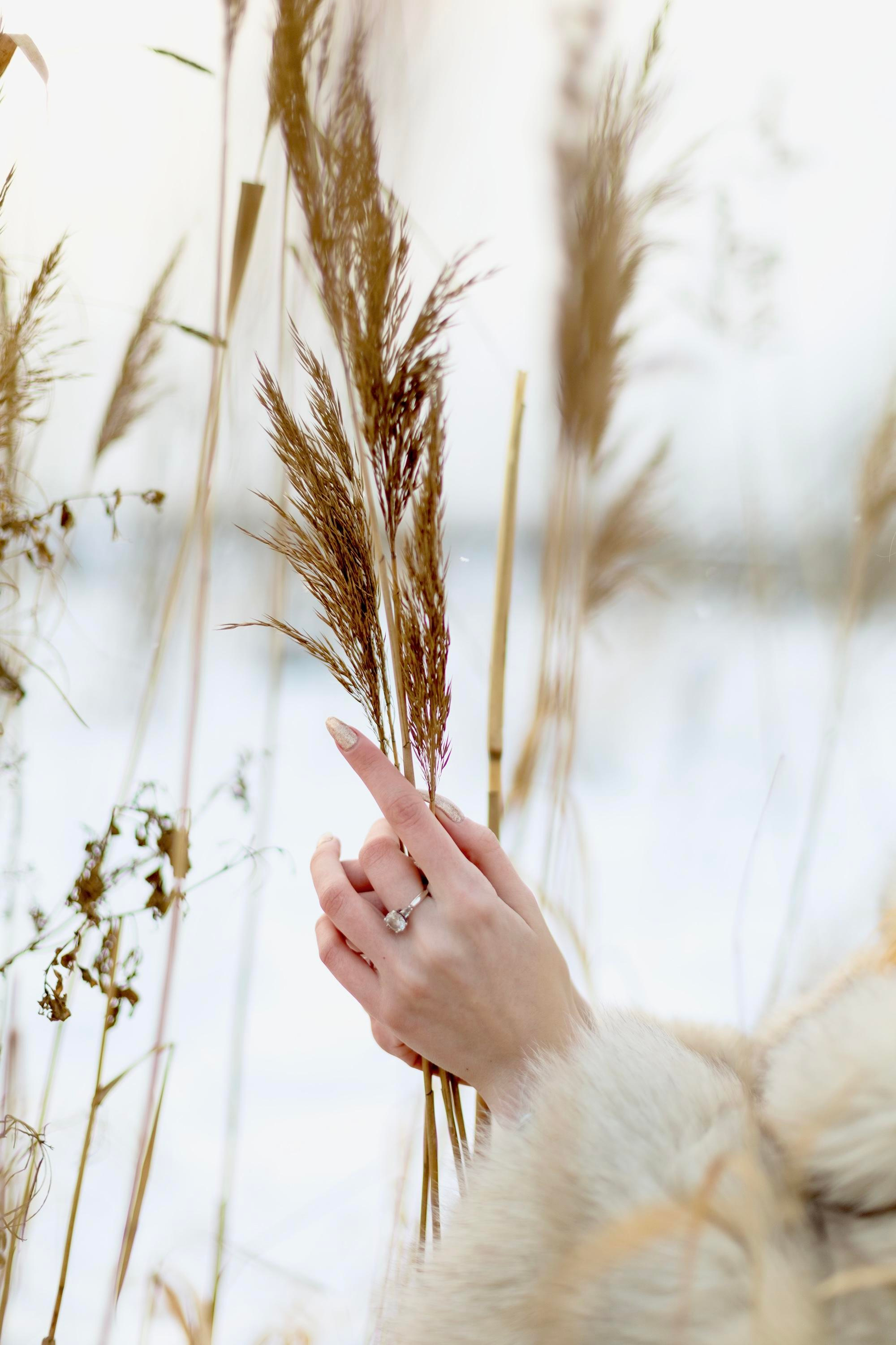 Зимняя съёмка. Репортажный, семейный, свадебный фотограф Санкт-Петербург Ольга Лесюк