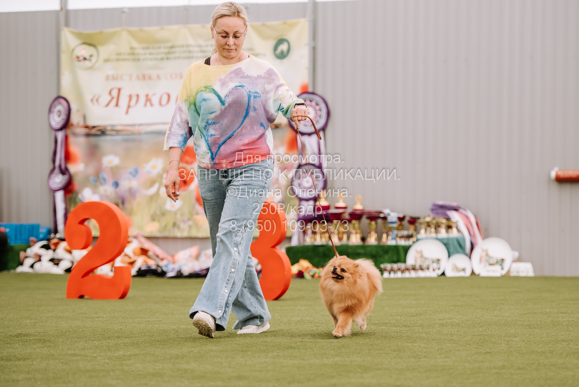 Выставка собак Красноярск 2.06. Фотограф Диана Оленина Красноярск / Братск