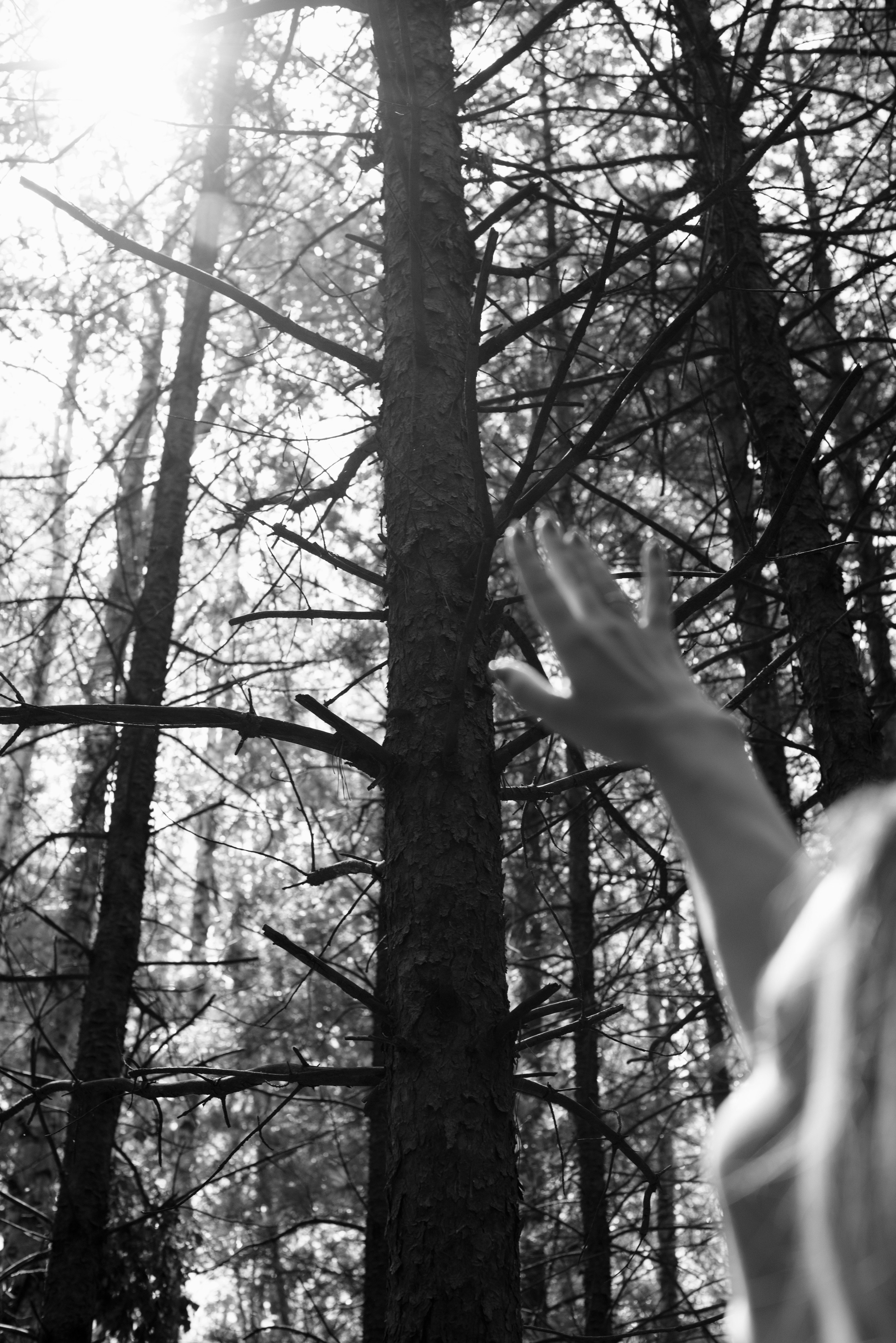 Даша. Я — Фотограф из Хабаровска