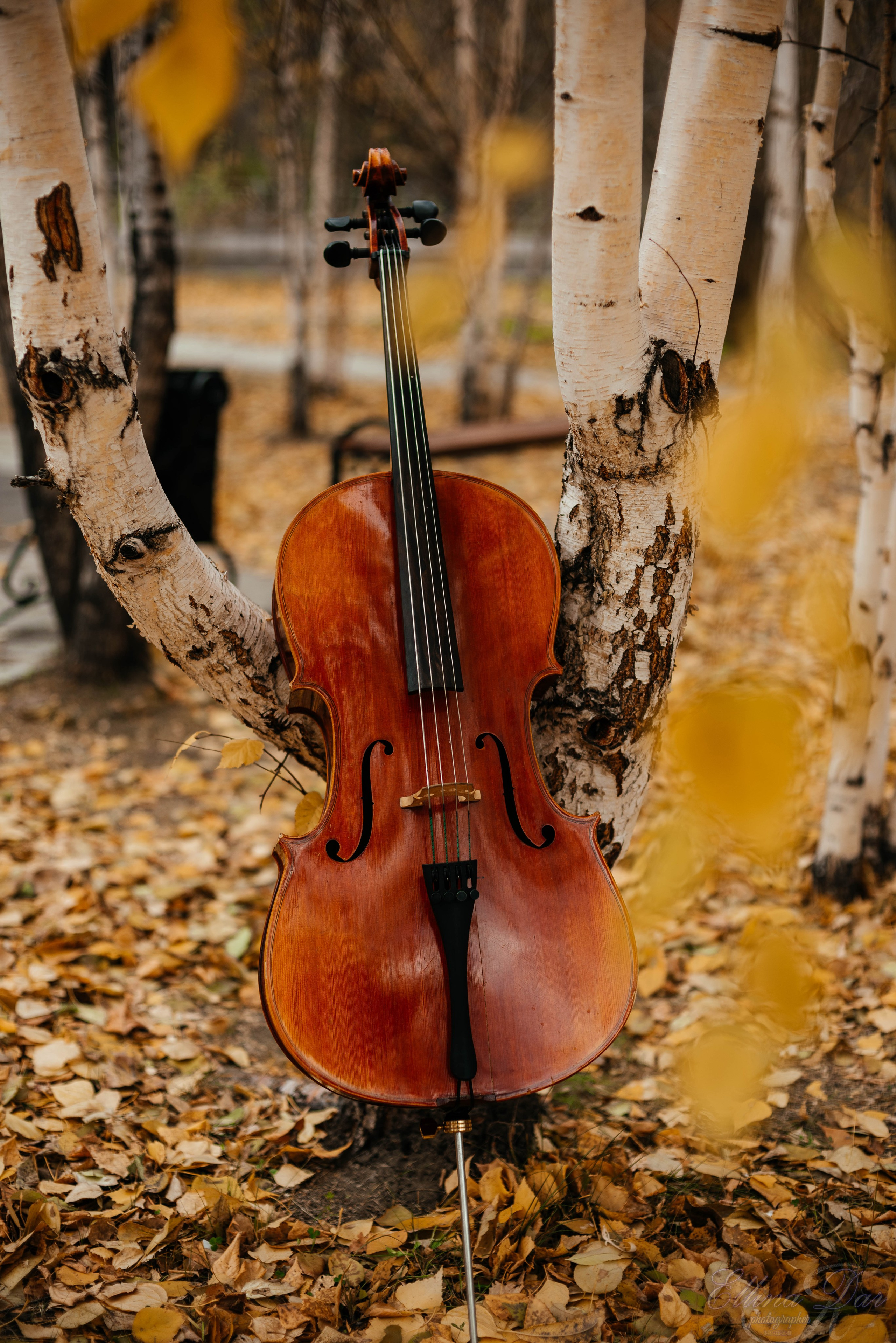 Аюмишка. Фотограф Эллина Дар г. Улан-Удэ