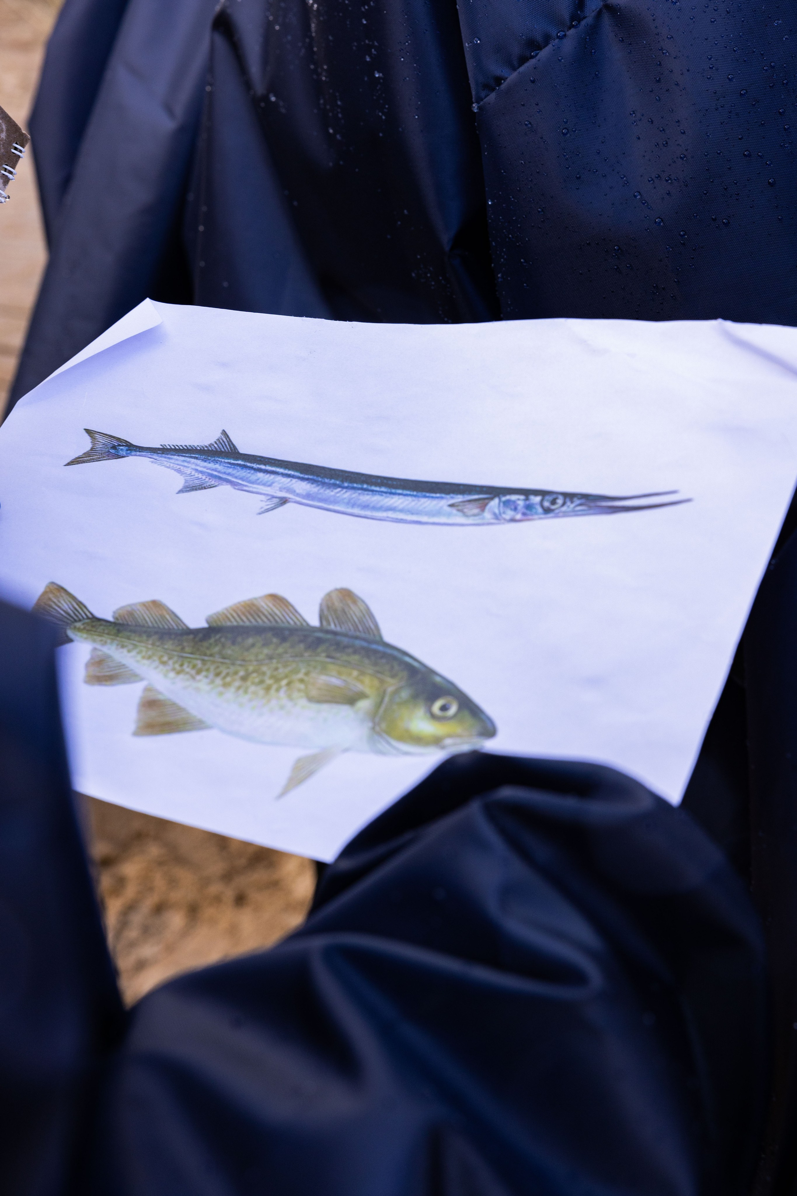 Зеленый пластик. Западный Котлин. Фотограф/видеограф в Санкт-Петербурге Динара Гольдина