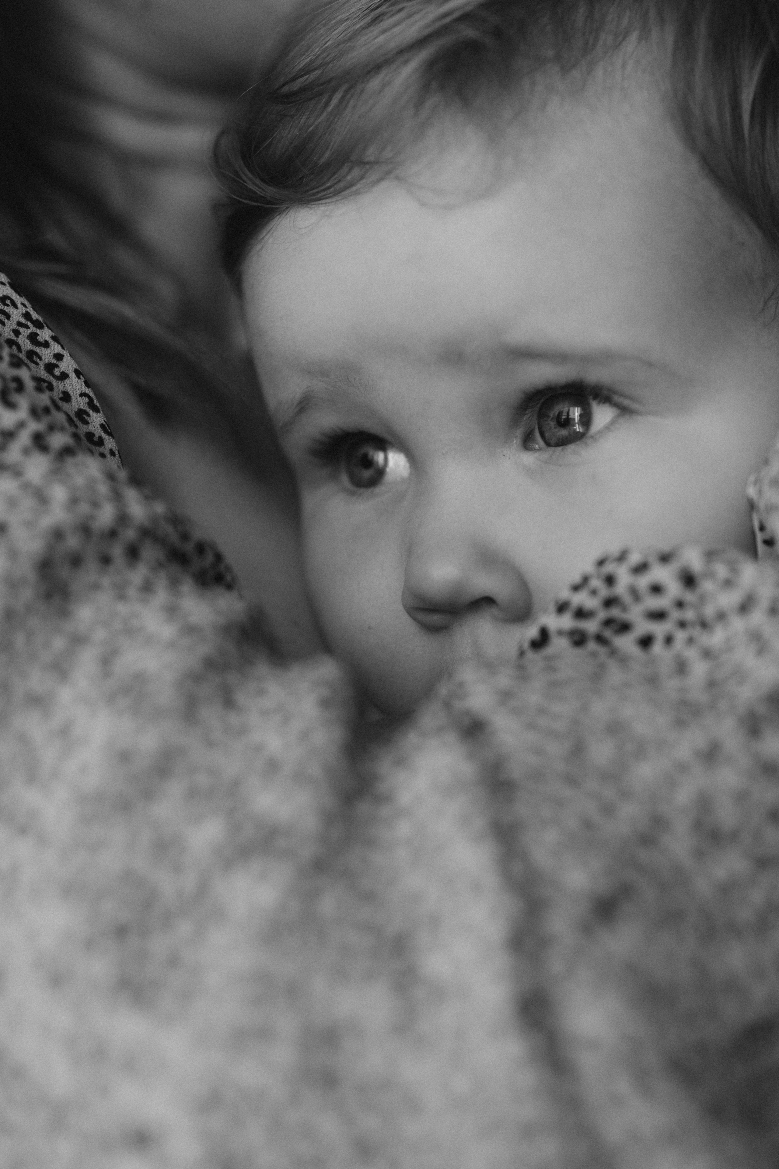 Семейный портрет. Школьный фотограф в Новосибирске Наталья Иванченко