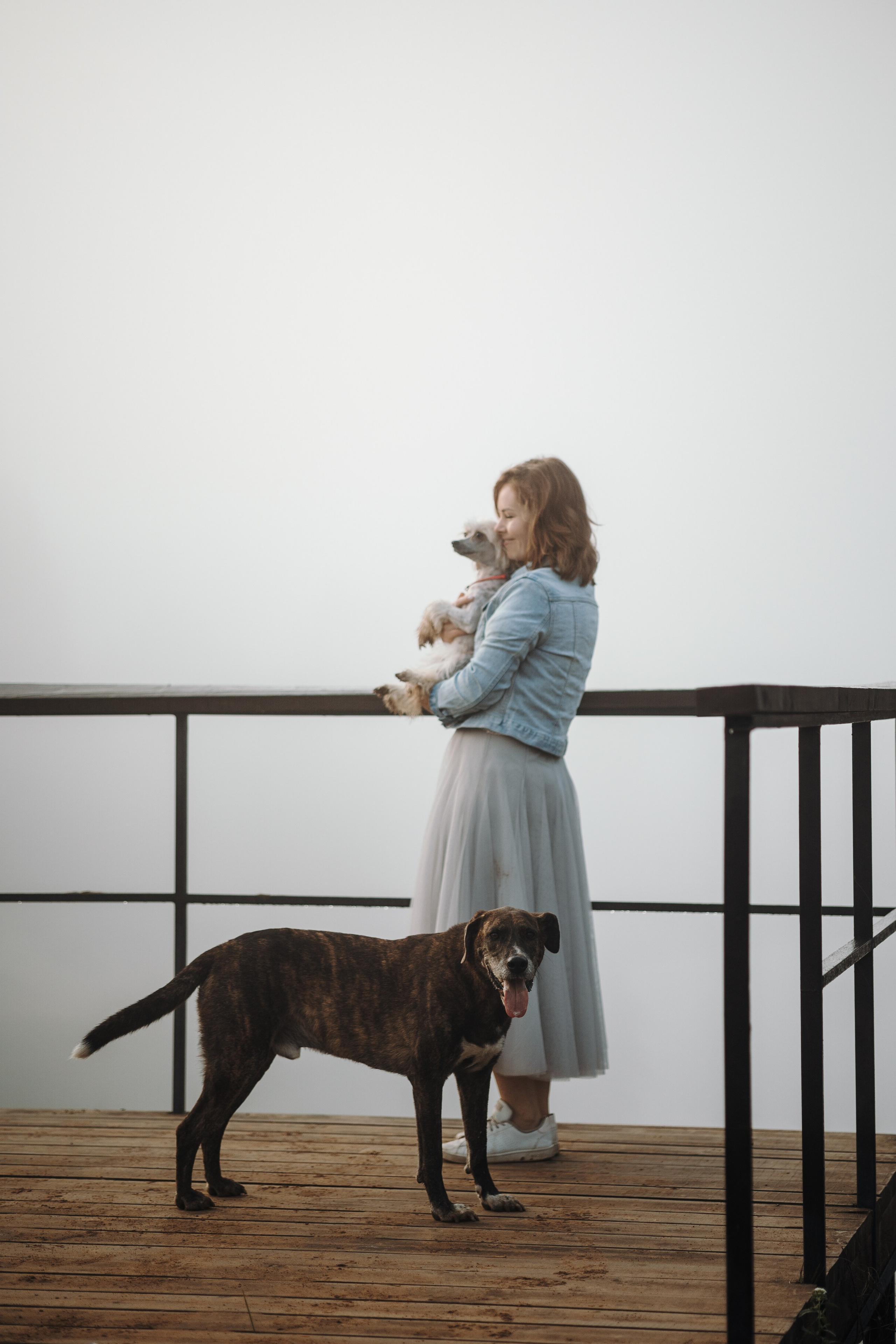 Любовь и ее хвостики. Фотограф — Анималист | Санкт-Петербург