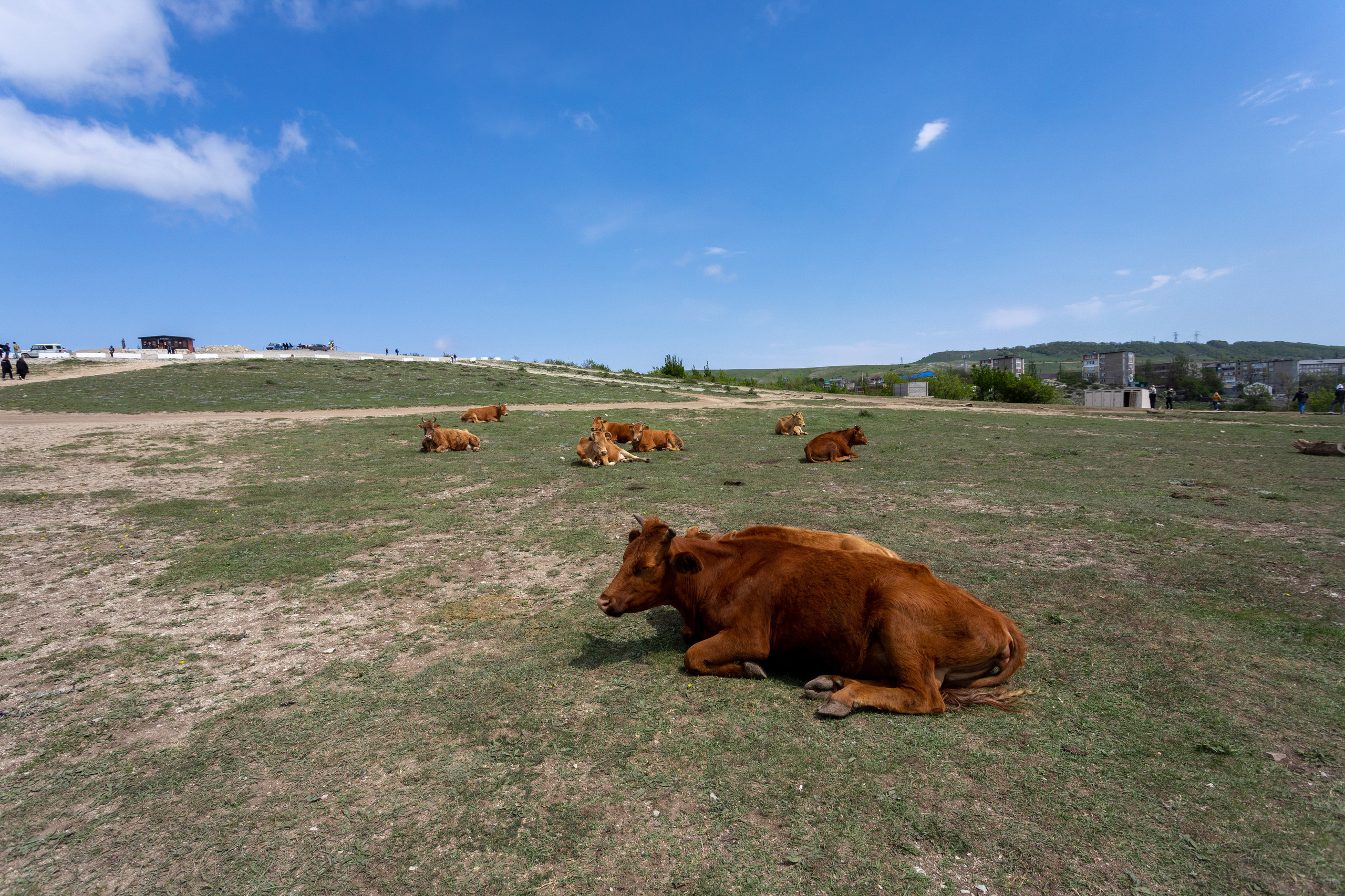Дагестан. Семейный и свадебный фотограф в Перми
