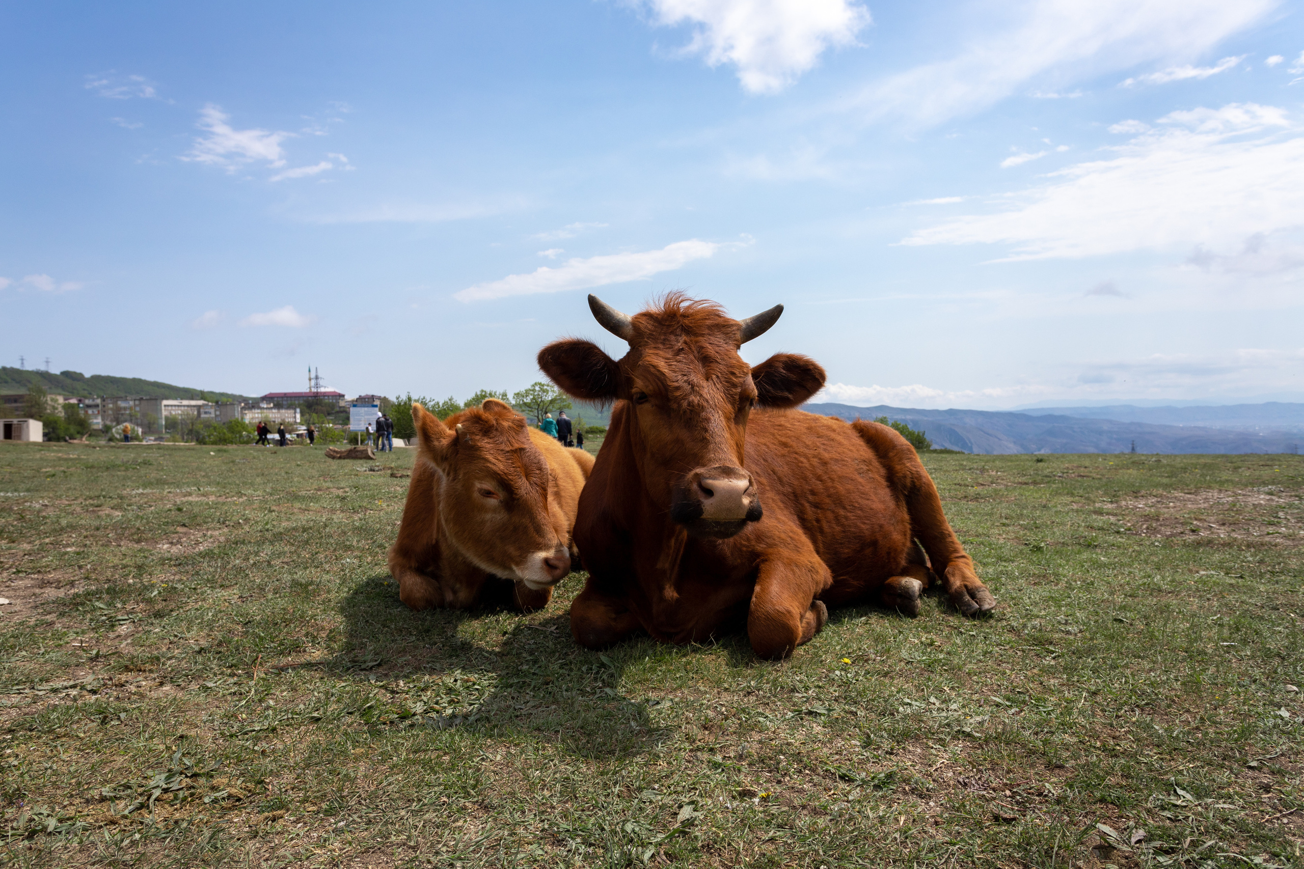 Дагестан. Семейный и свадебный фотограф в Перми