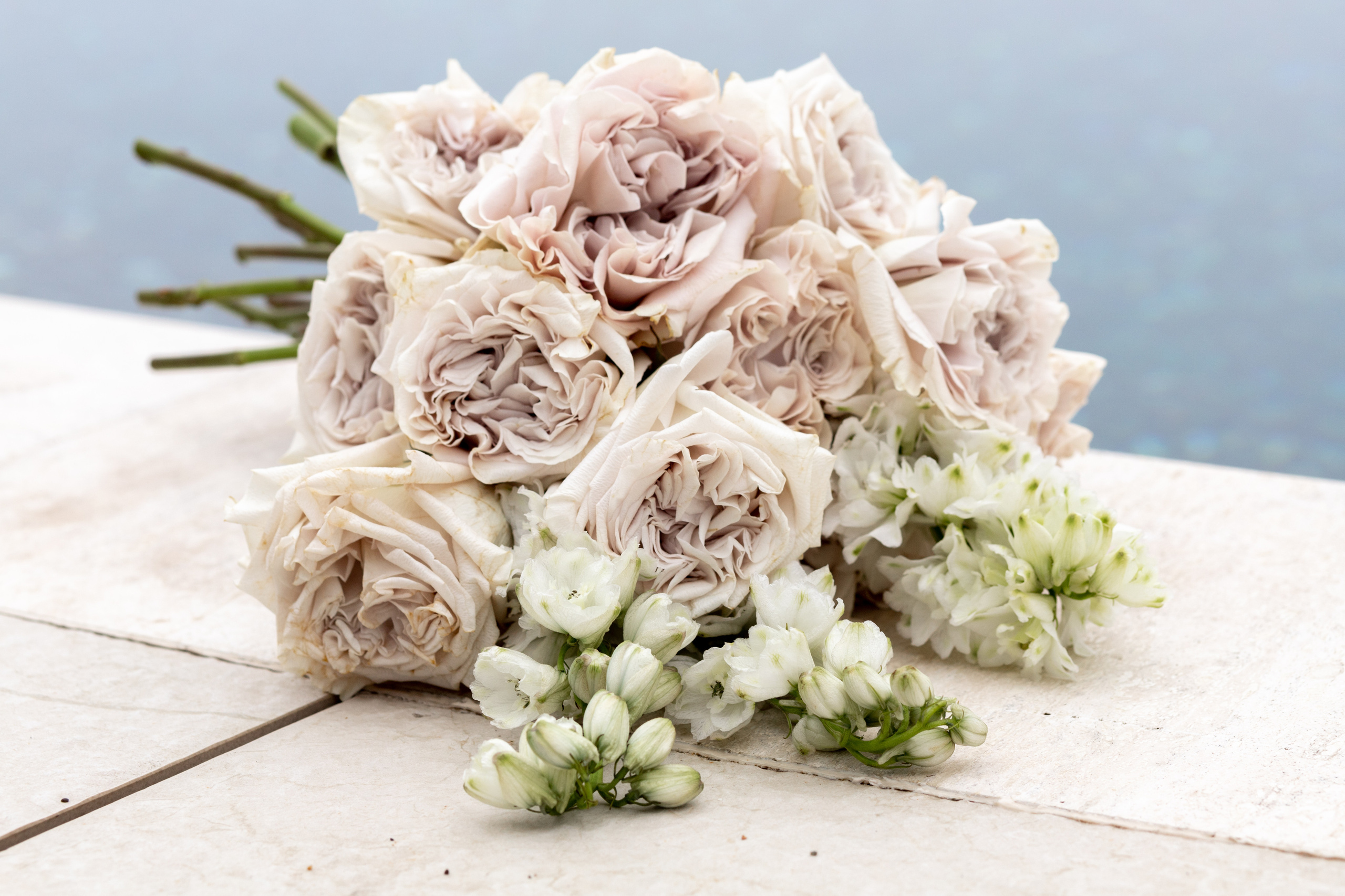 Эльмина и Максим. Семейный и свадебный фотограф в Перми