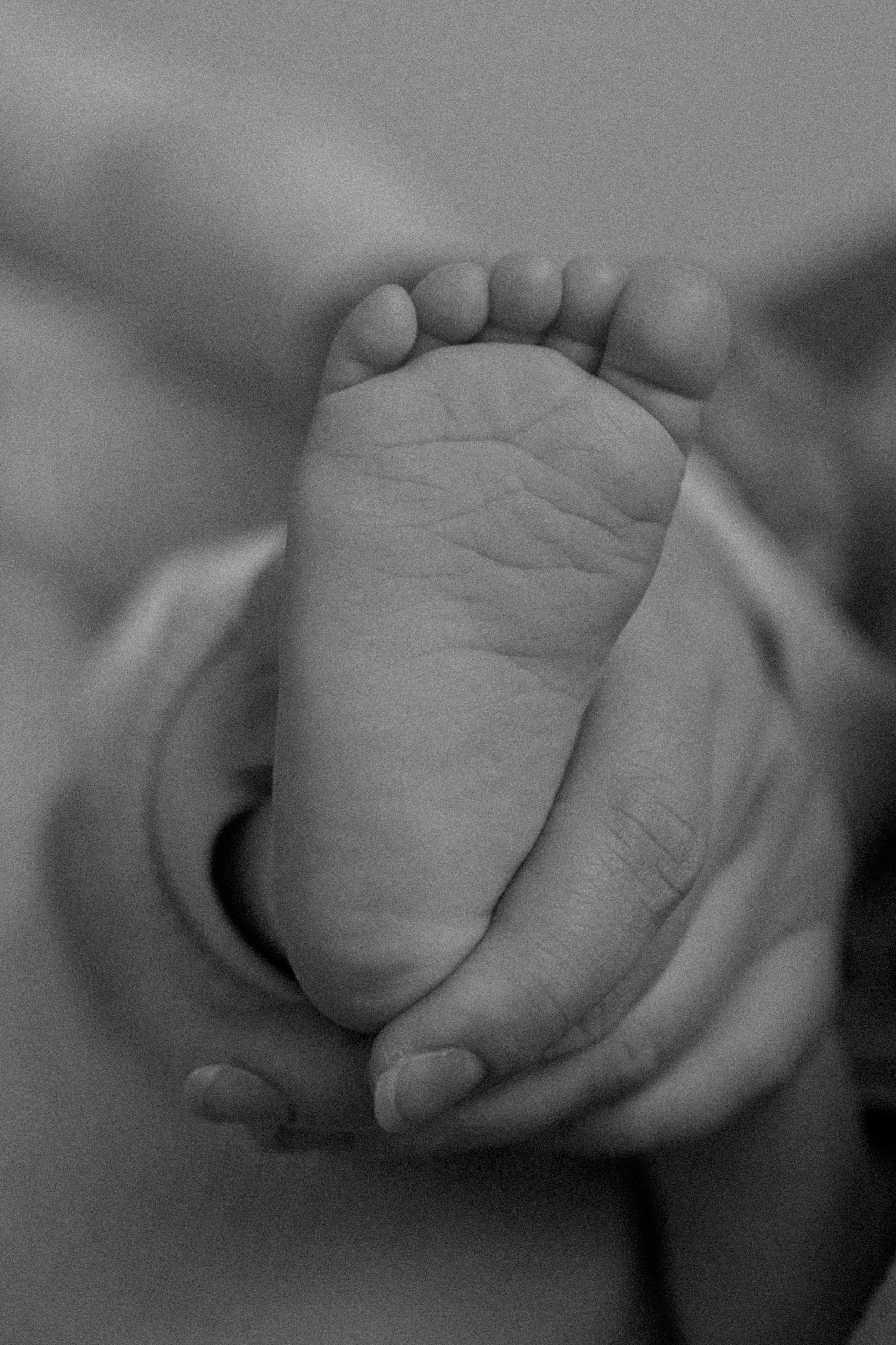 3 месяца Адаму. Семейный фотограф в Москве