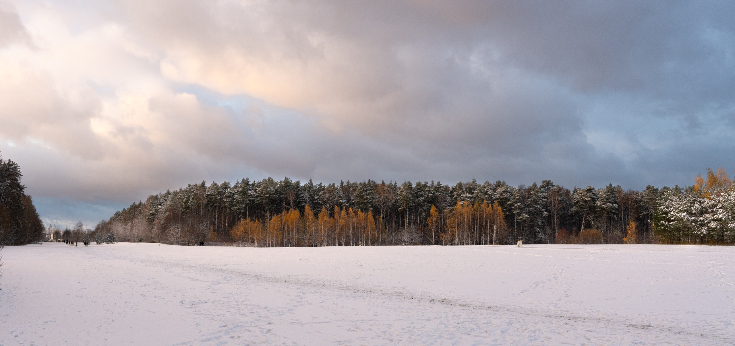 Мещерский парк. ПОБУДЬ ЗДЕСЬ И ЦЕЛЕЕ БУДЕТ ЭТОТ МИР