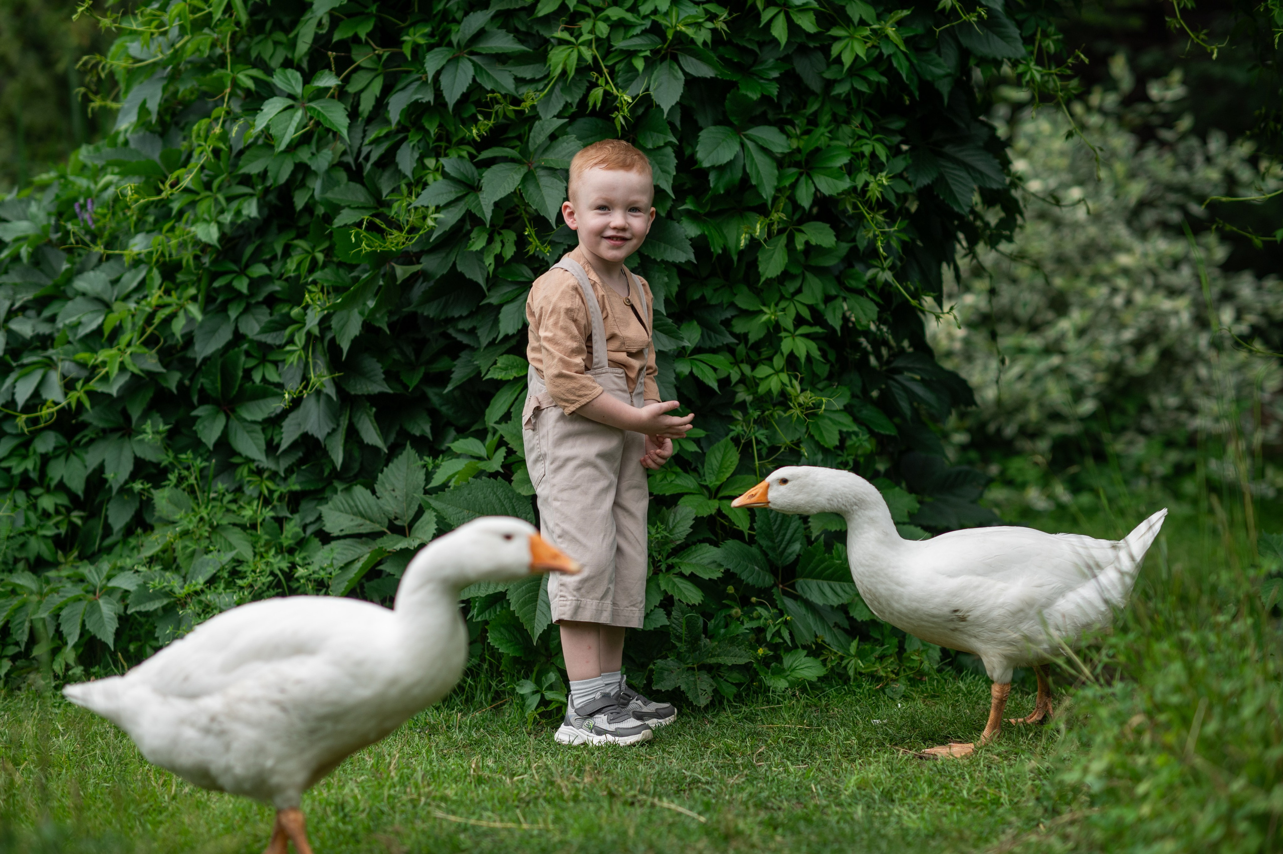 В САДУ. Семейный фотограф Екатеринбург Лора Мур