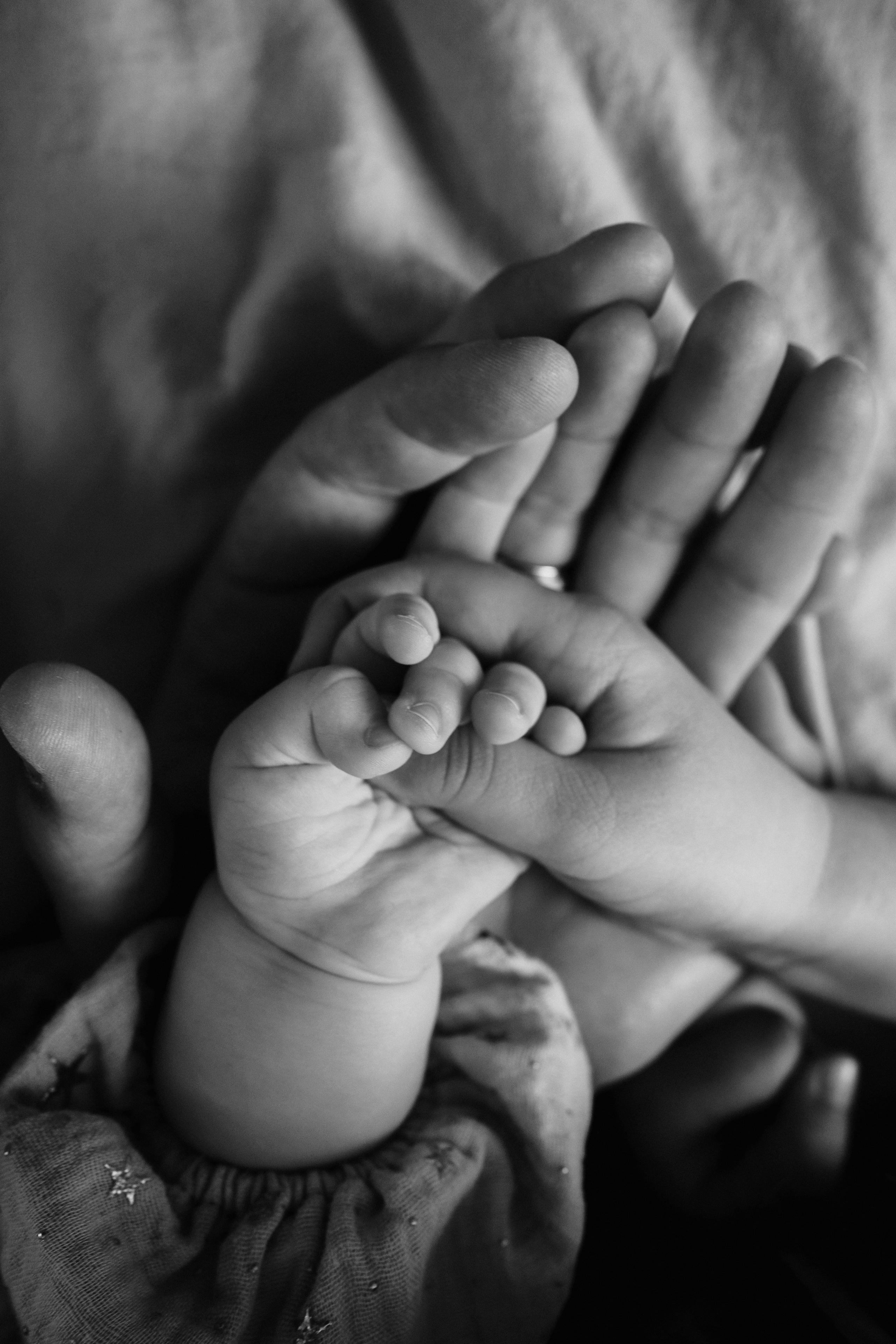 Красивейшая семья Налимовых. Фотограф Ольга Игорева