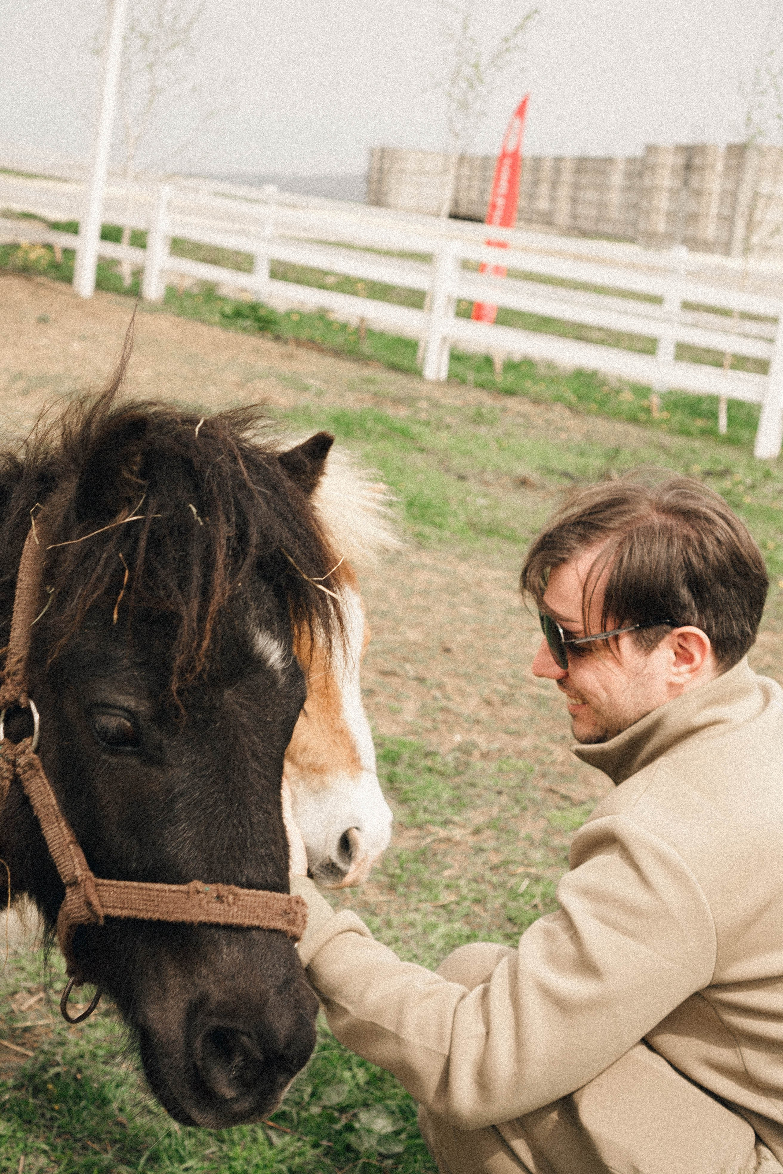 Ферма Альпак. Профессиональный фотограф, Санкт-Петербург — Виктория Богомолова