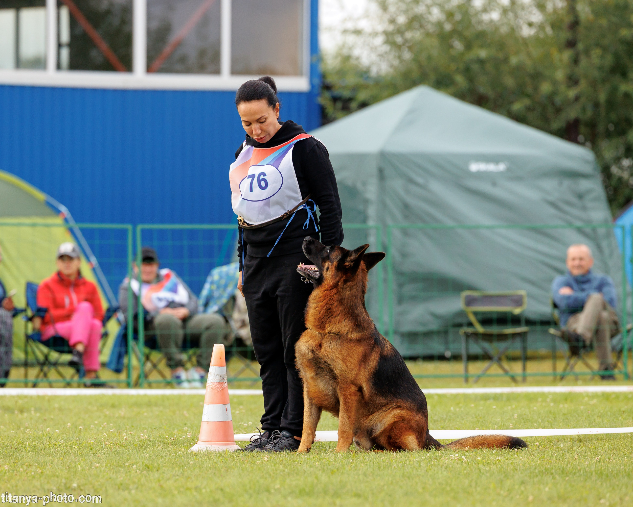 Фотографии с монопородных выставок немецких овчарок. Фотограф собак, фотограф-анималист Аня Титова (Titanya). Москва