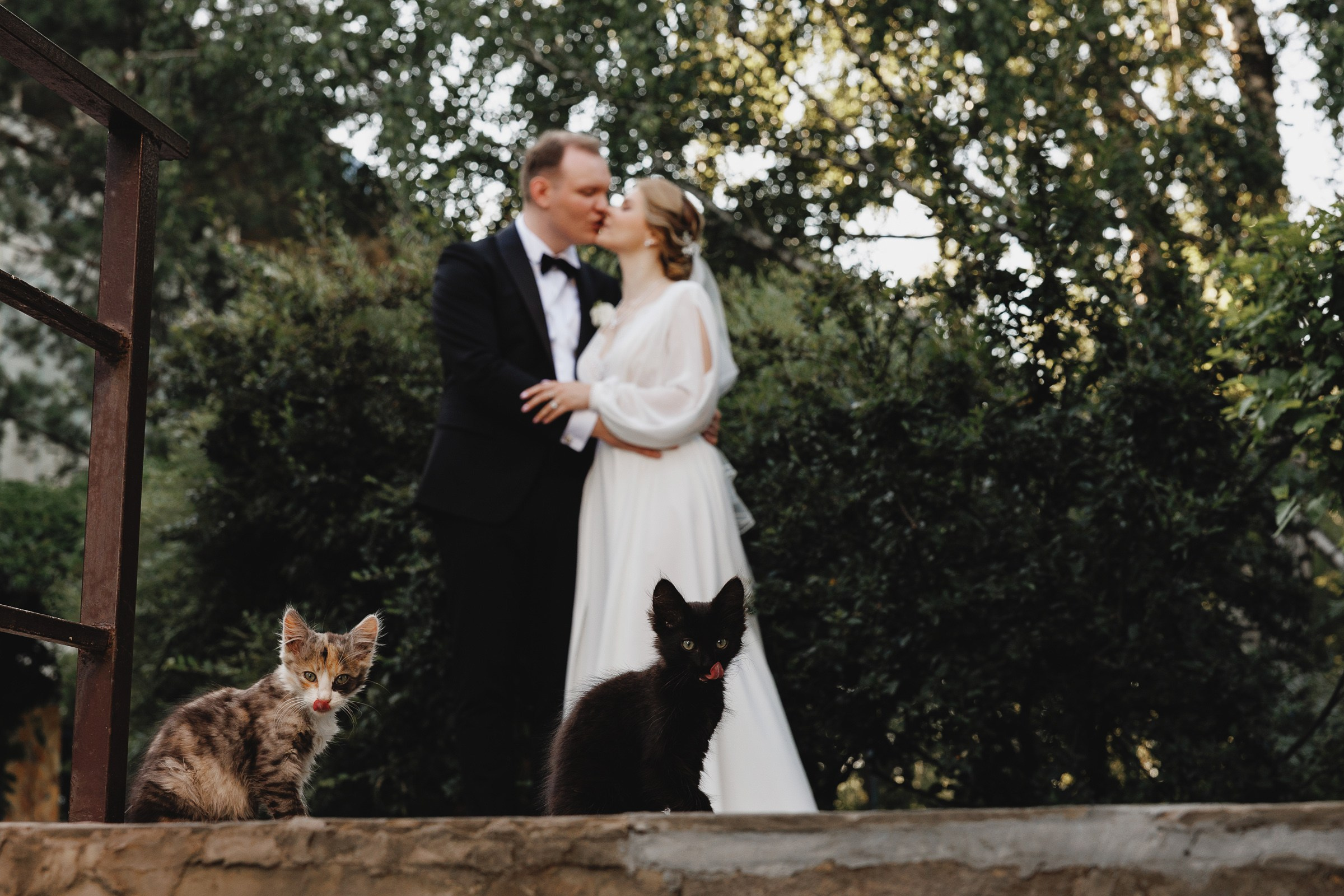 Денис Анна. Свадебный фотограф и видеограф Дмитрий Горяченков