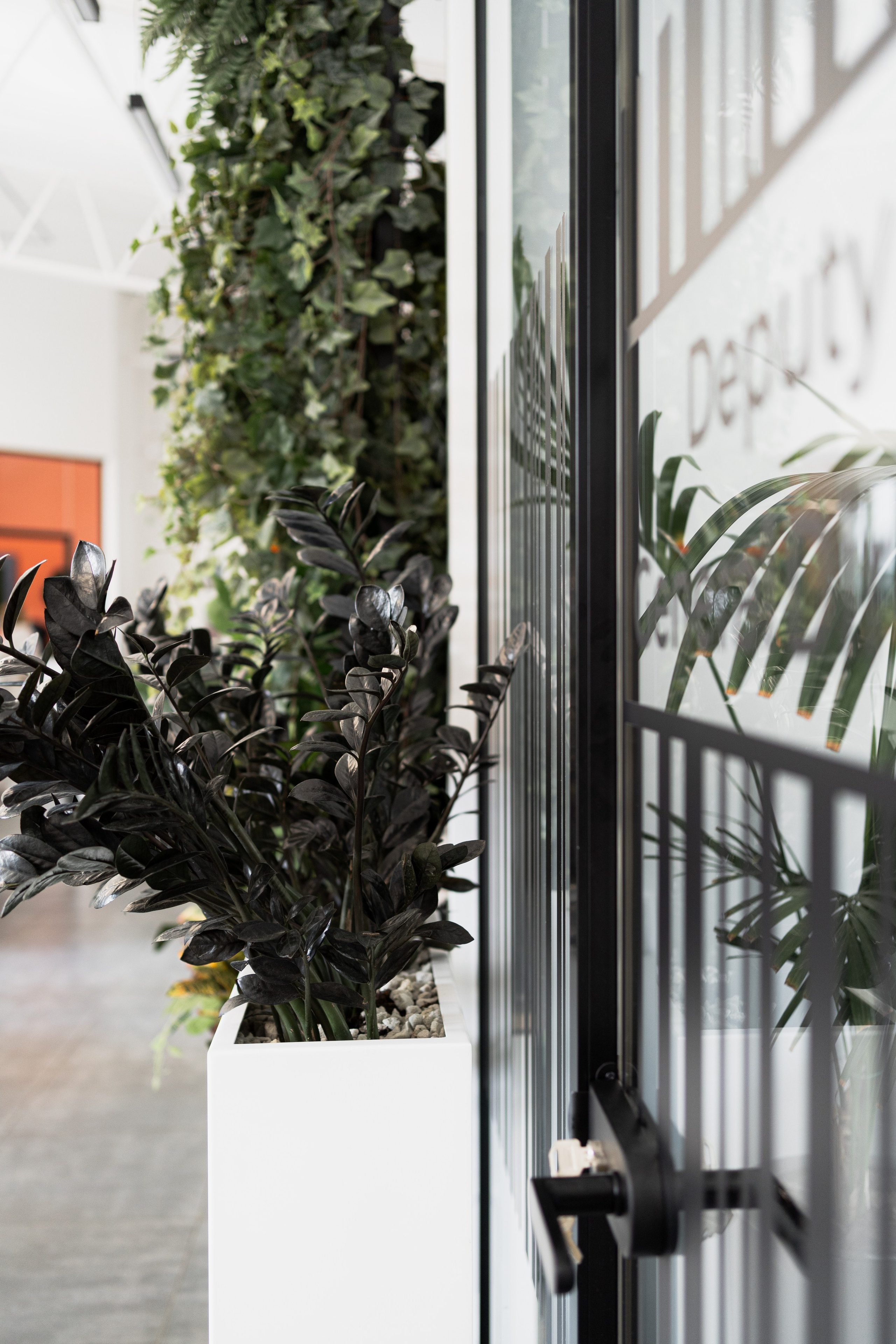 Terra. Елена Пашкевич, фотограф, Москва