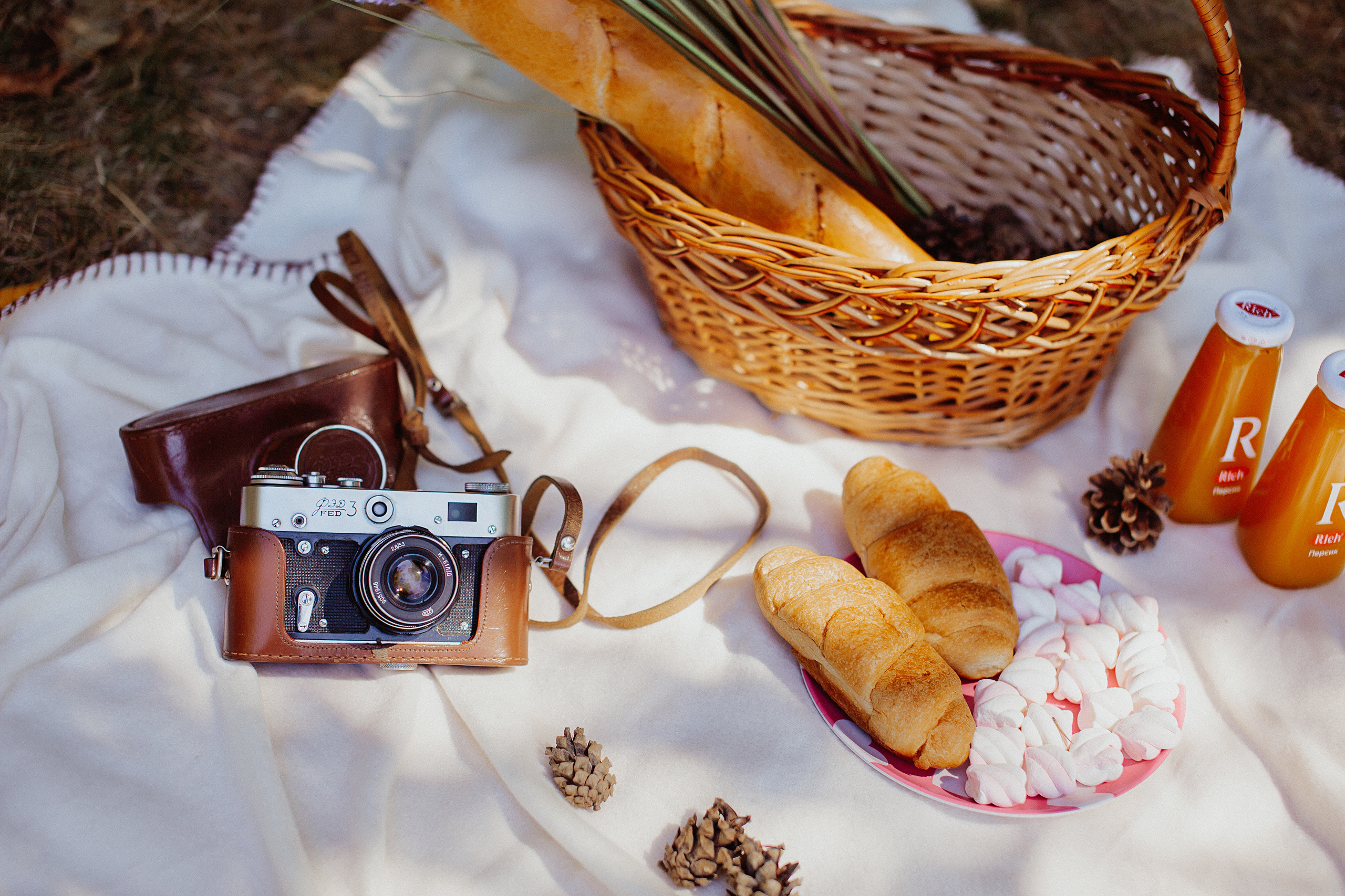 «Рождественский парк» Пикник. Свадебный и семейный фотограф/видеограф в Краснодаре Наталья Осинская