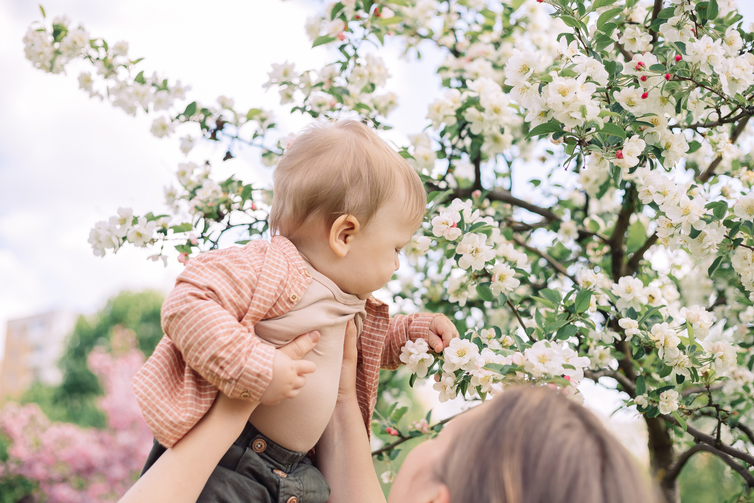 Разное. Семейный фотограф Анна Скворцова