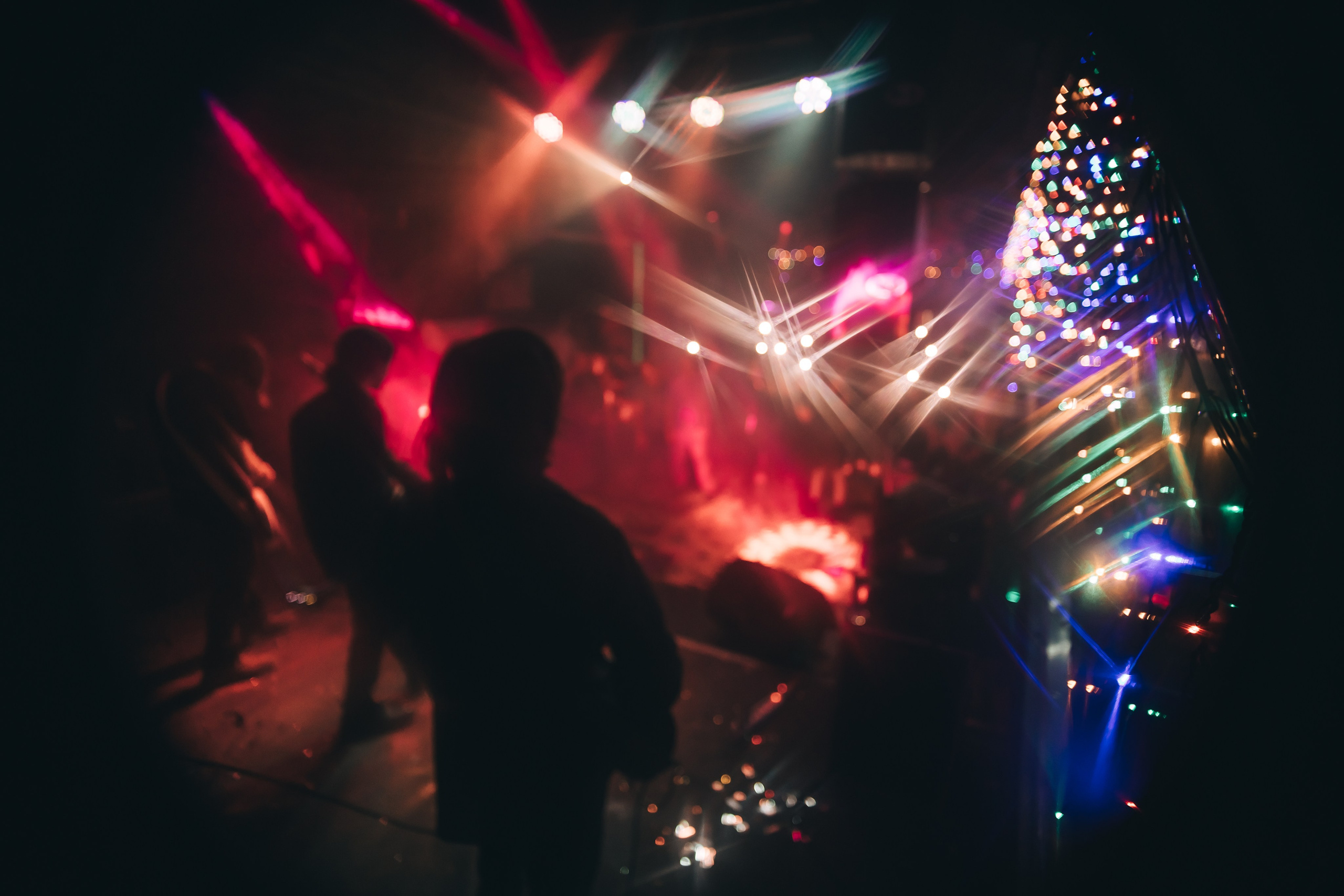 Rose park. Рок-опохмелки, клуб-галерея Эрмитаж. 06.01.2025. Фотограф Регина Крикунова г. Красноярск