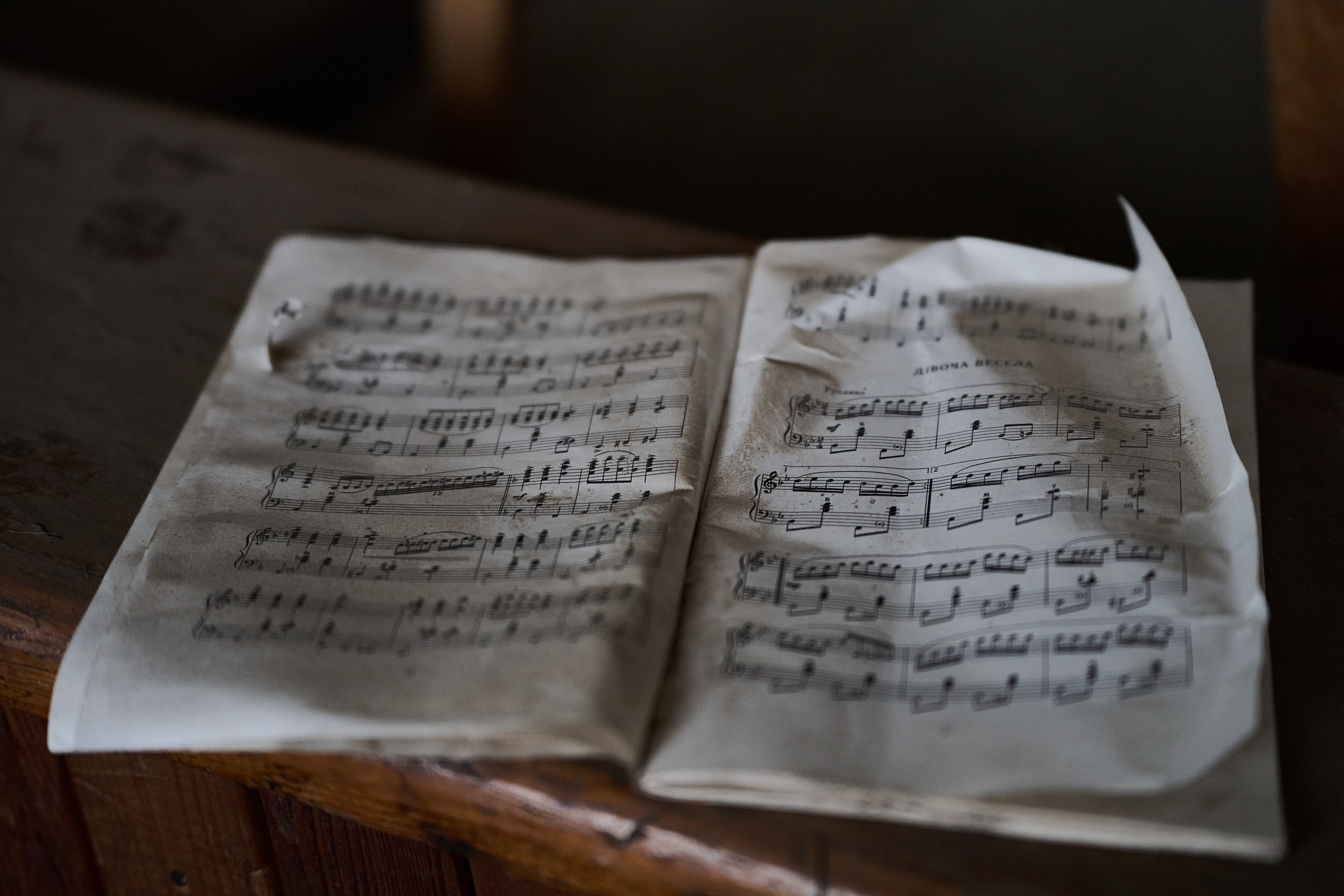 Фото для презентации фотопроекта «Территории». Фотопроект «Территории»