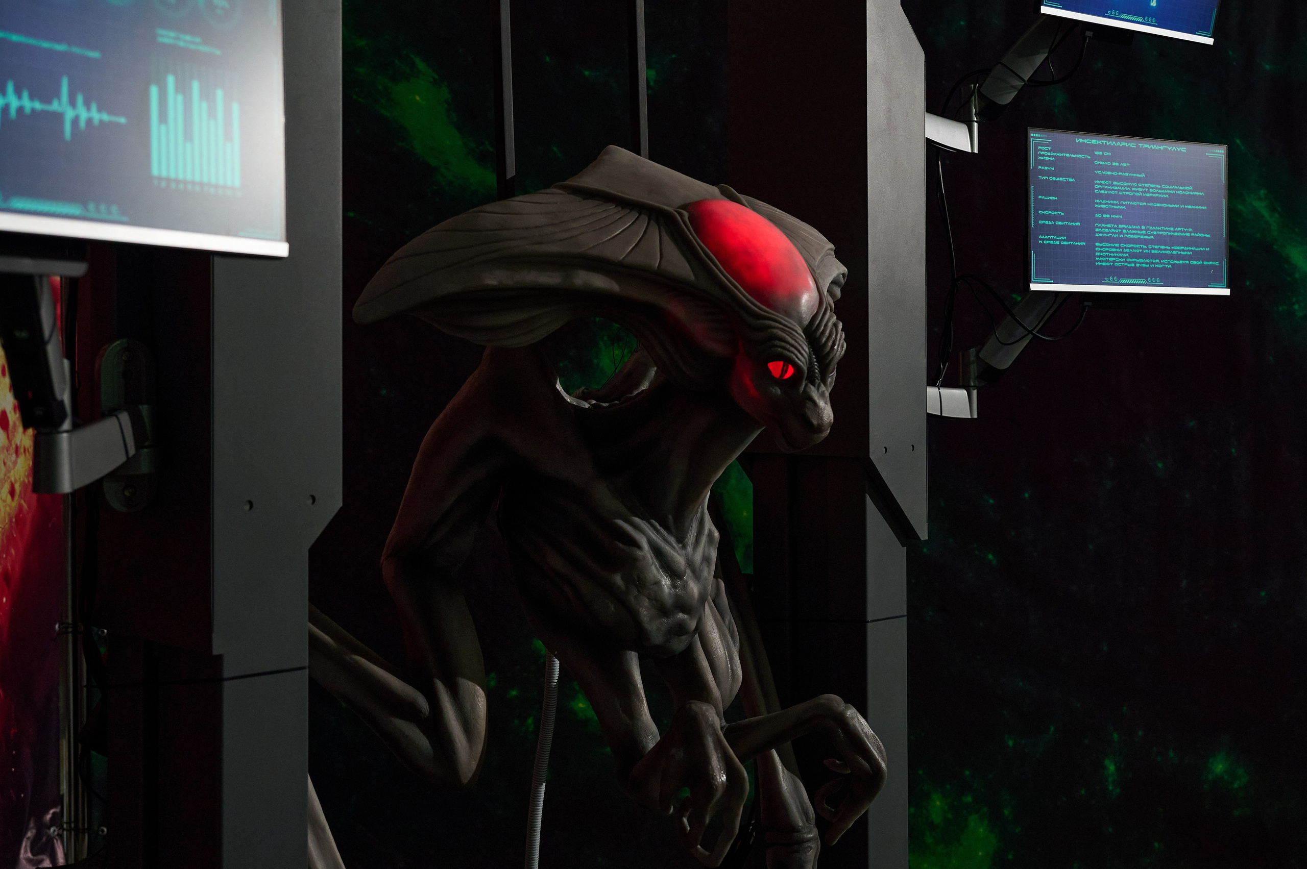 Вторжение инопланетян и криошоу. Фотограф Опыт Качество Скорость Горный Алтай Барнаул