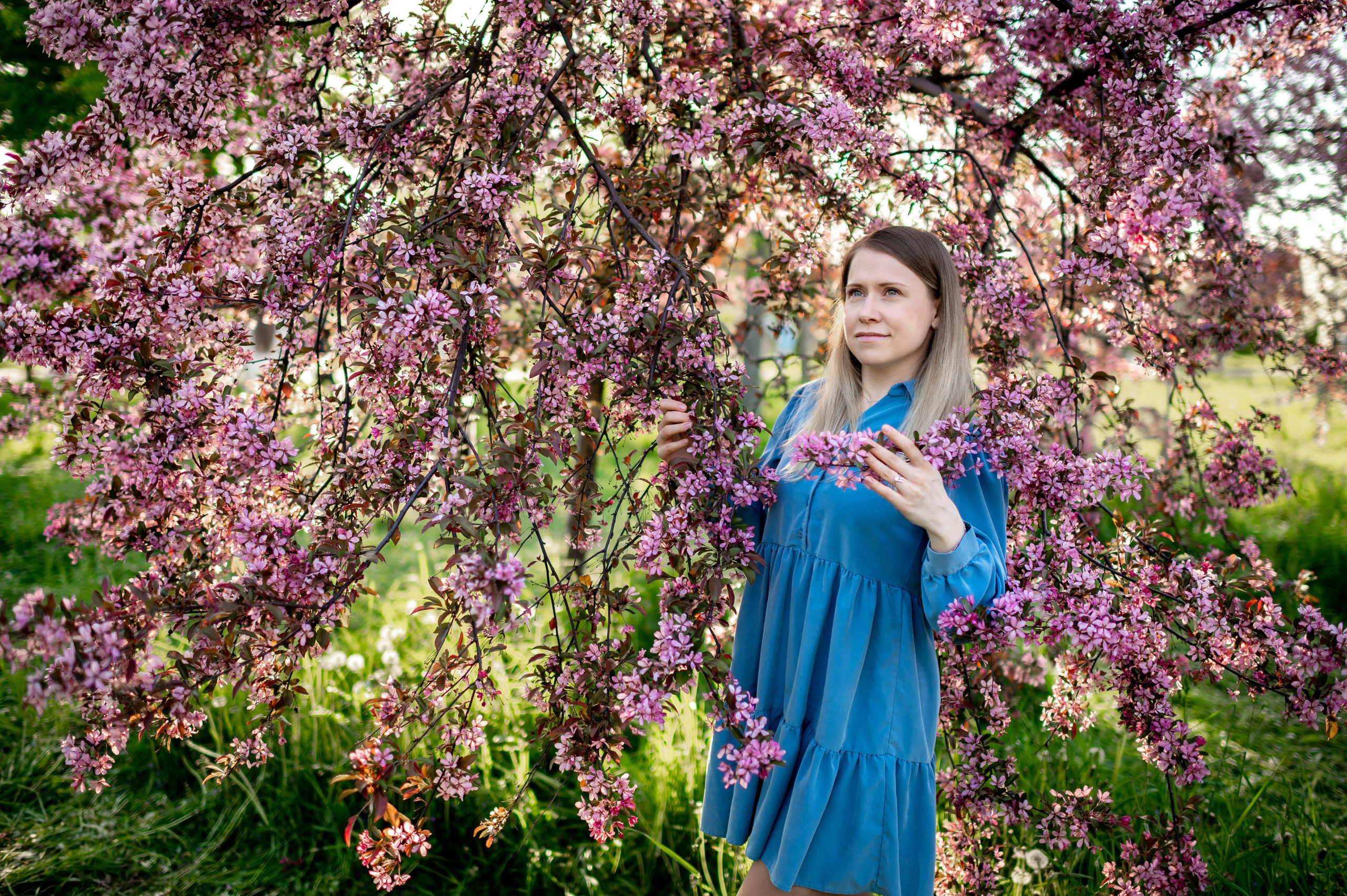 Ника и родители в розовых яблонях. Портретный, семейный и свадебный фотограф в Санкт-Петербурге и в Пушкине Ширяев Денис
