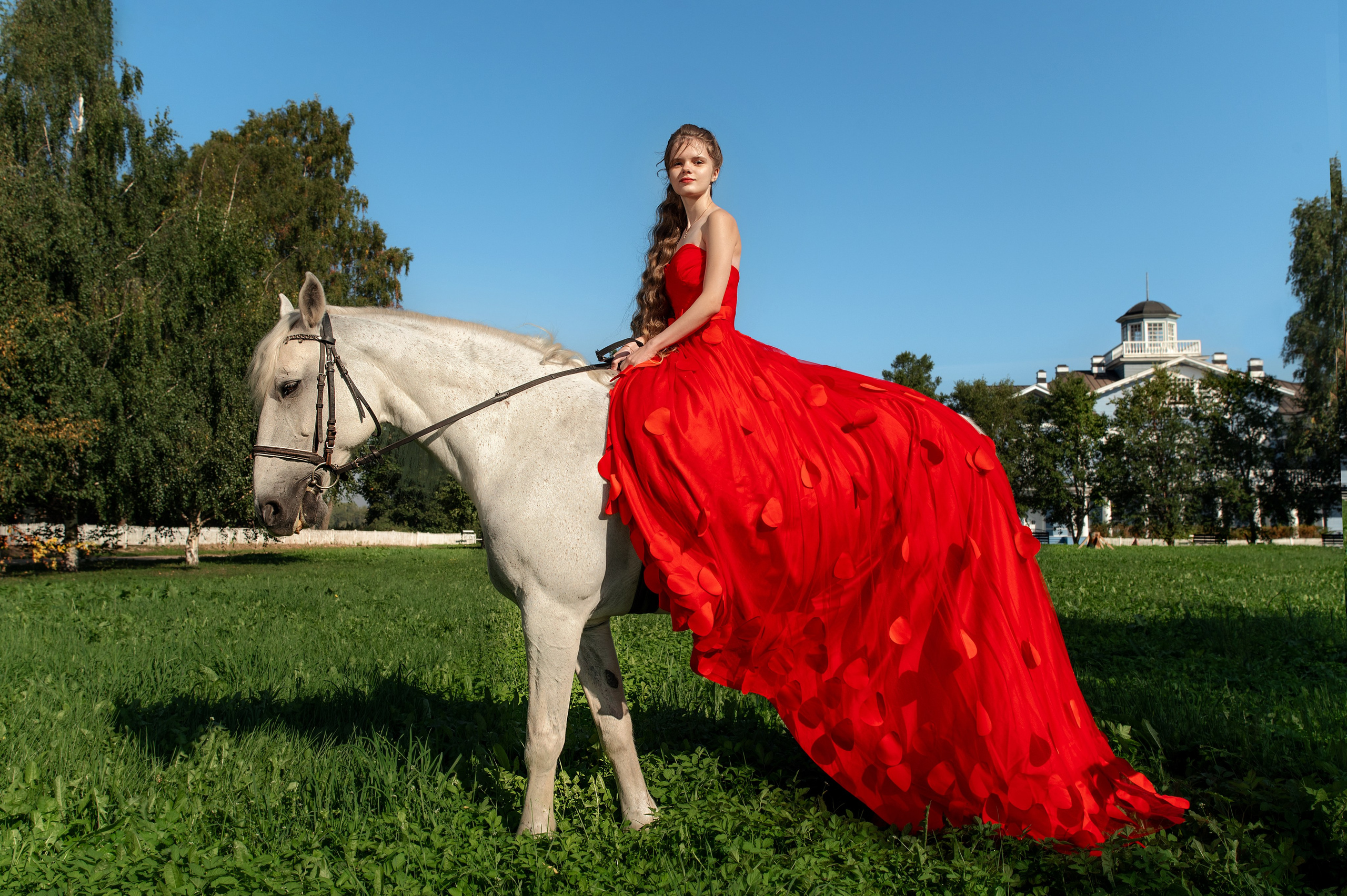 Фотосессии с лошадьми. Фотограф Евгения Соколова