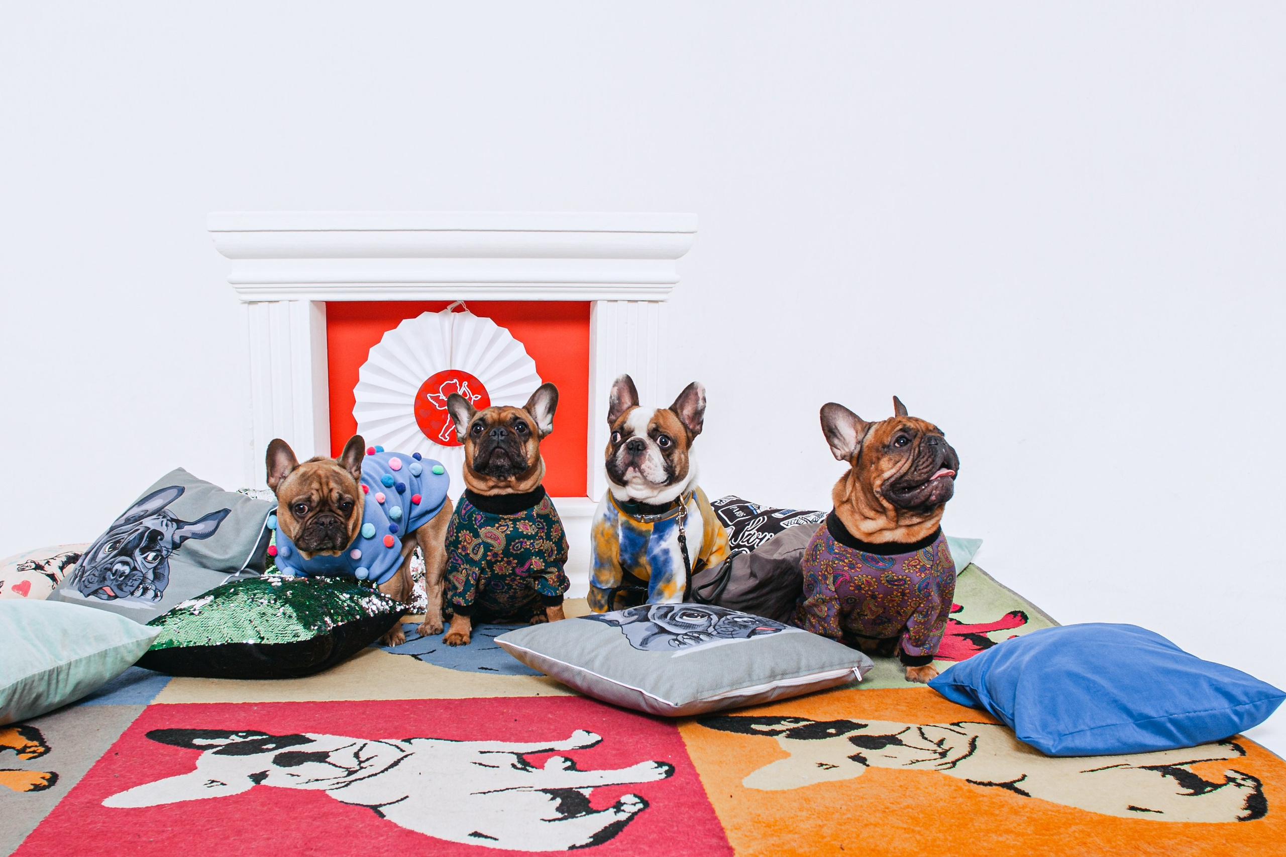 Пижамная вечеринка французских бульдогов и их хозяев. Фотограф-анималист Татьяна Степанова