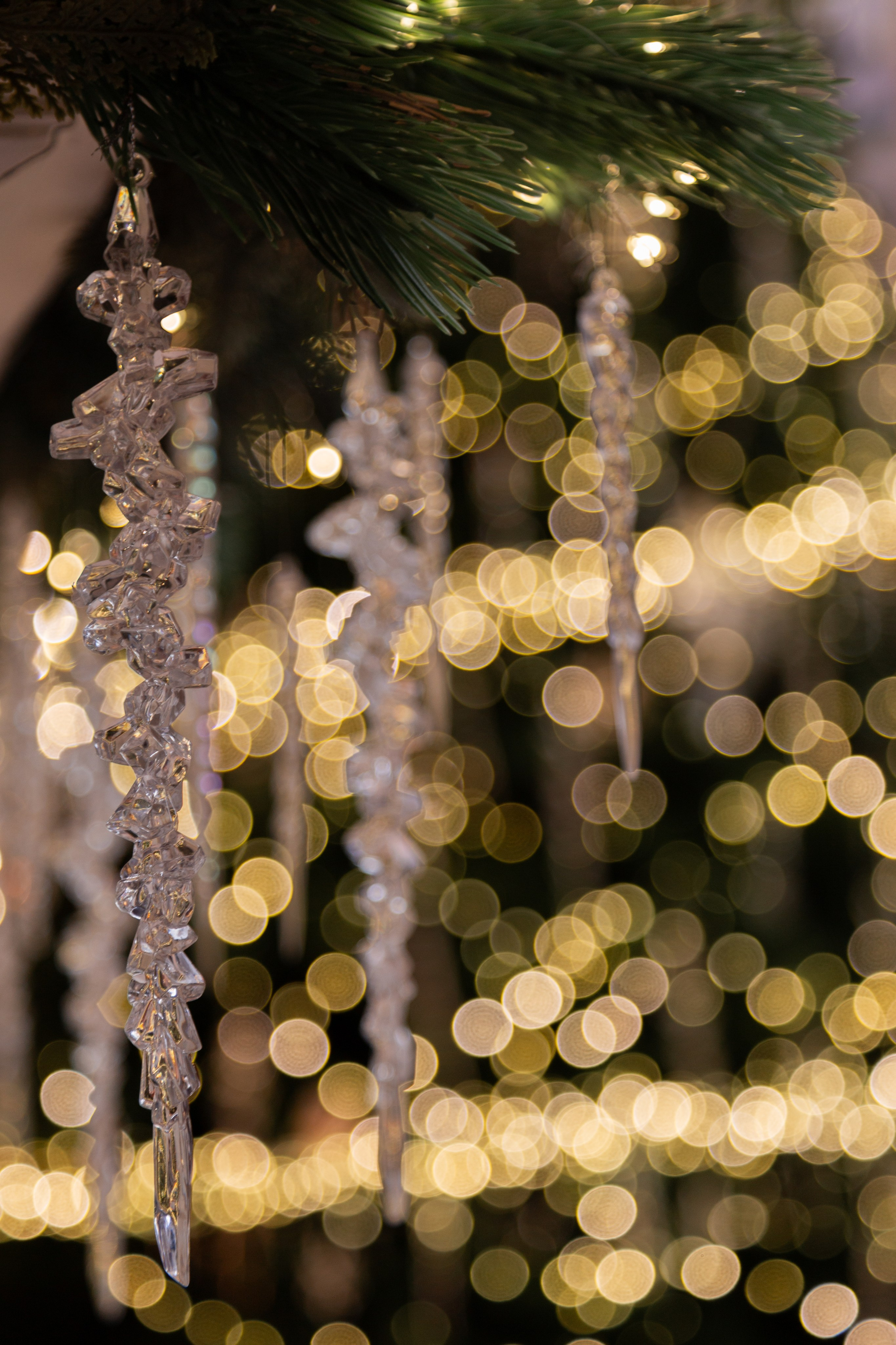 Белый Осел. Детский семейный фотограф Краснодар