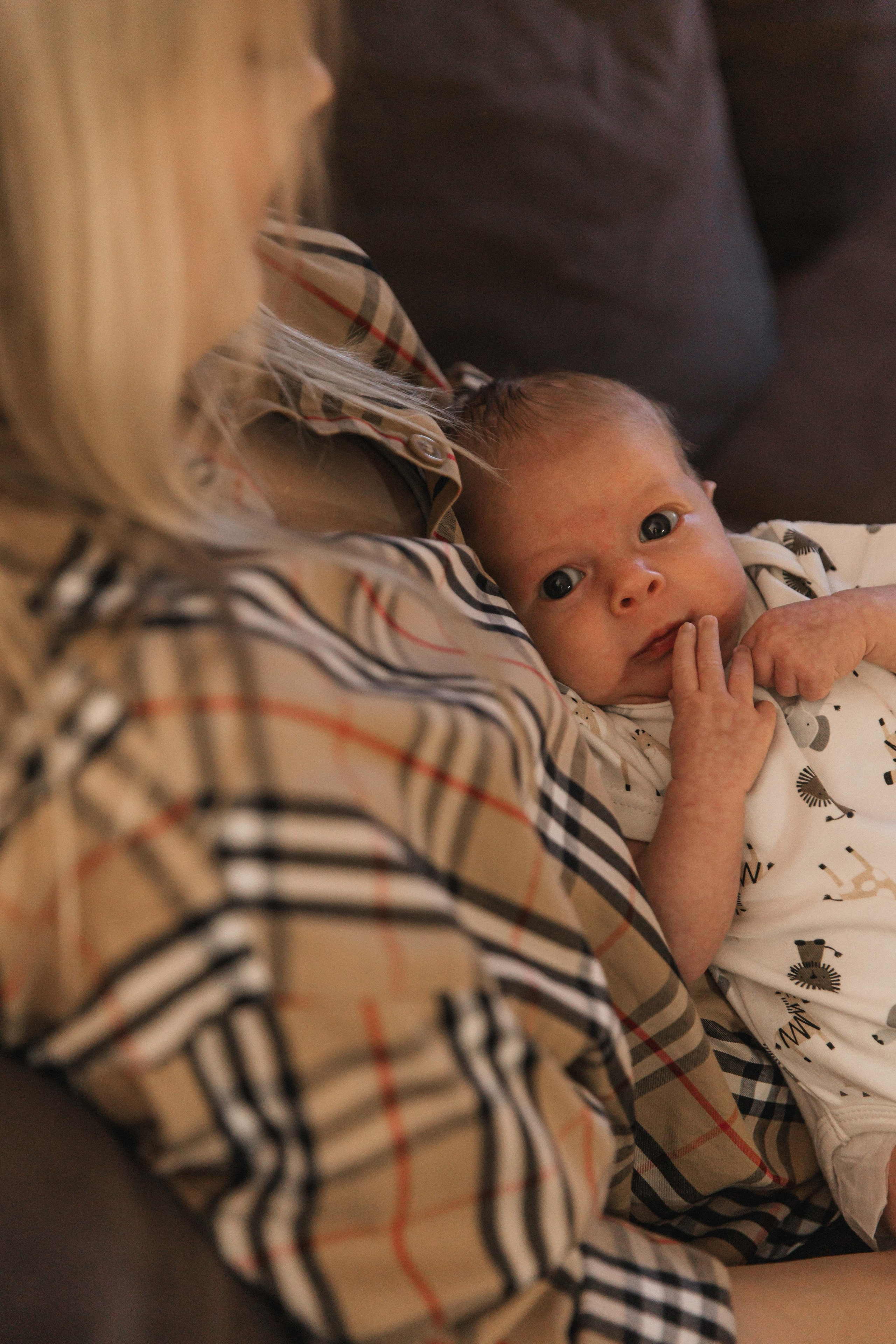 Лев. Фотограф Анастасия Петрова