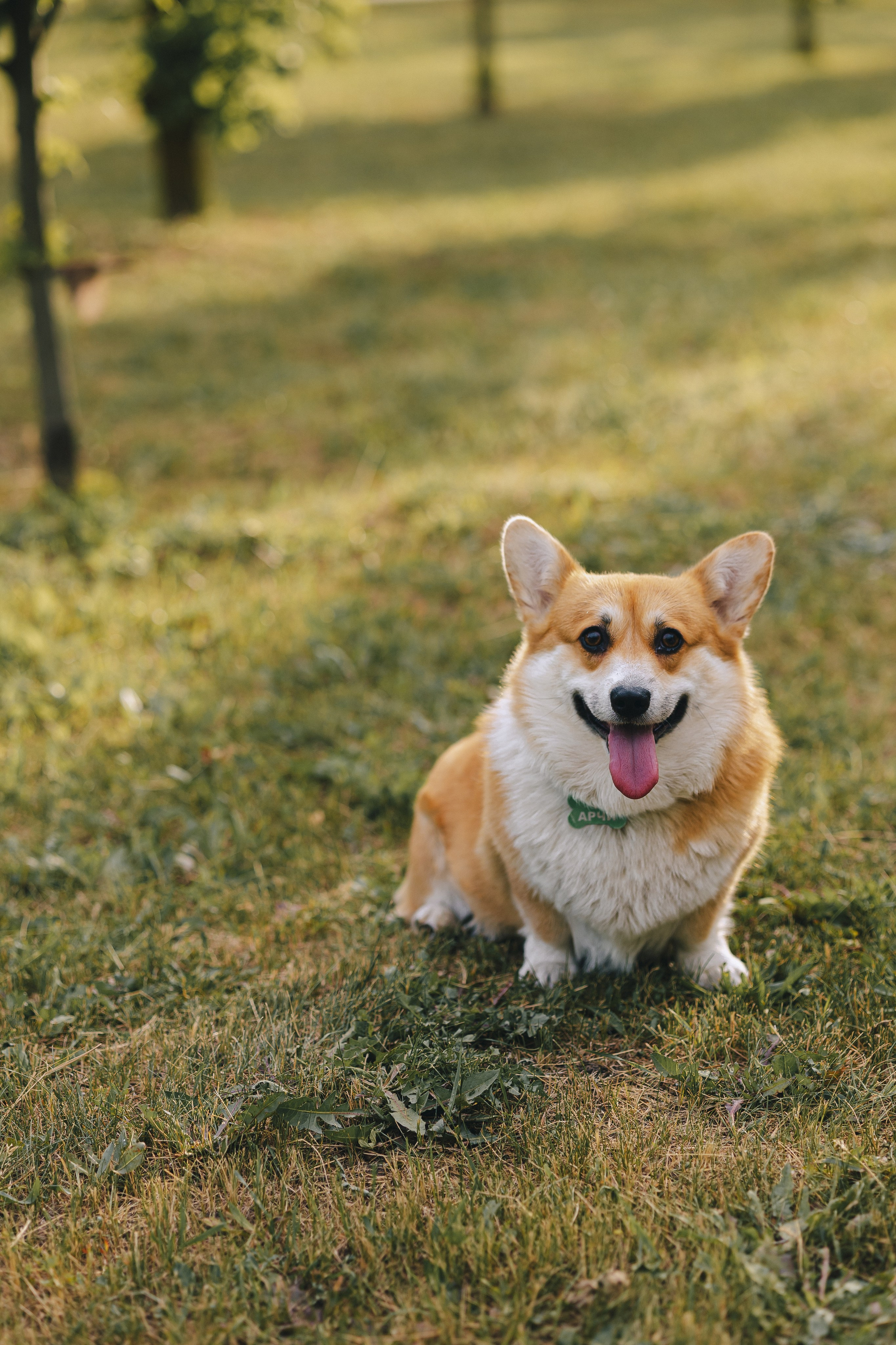 Рита, Денис и Кирилл. Фотограф Таганрог Любимая Надя