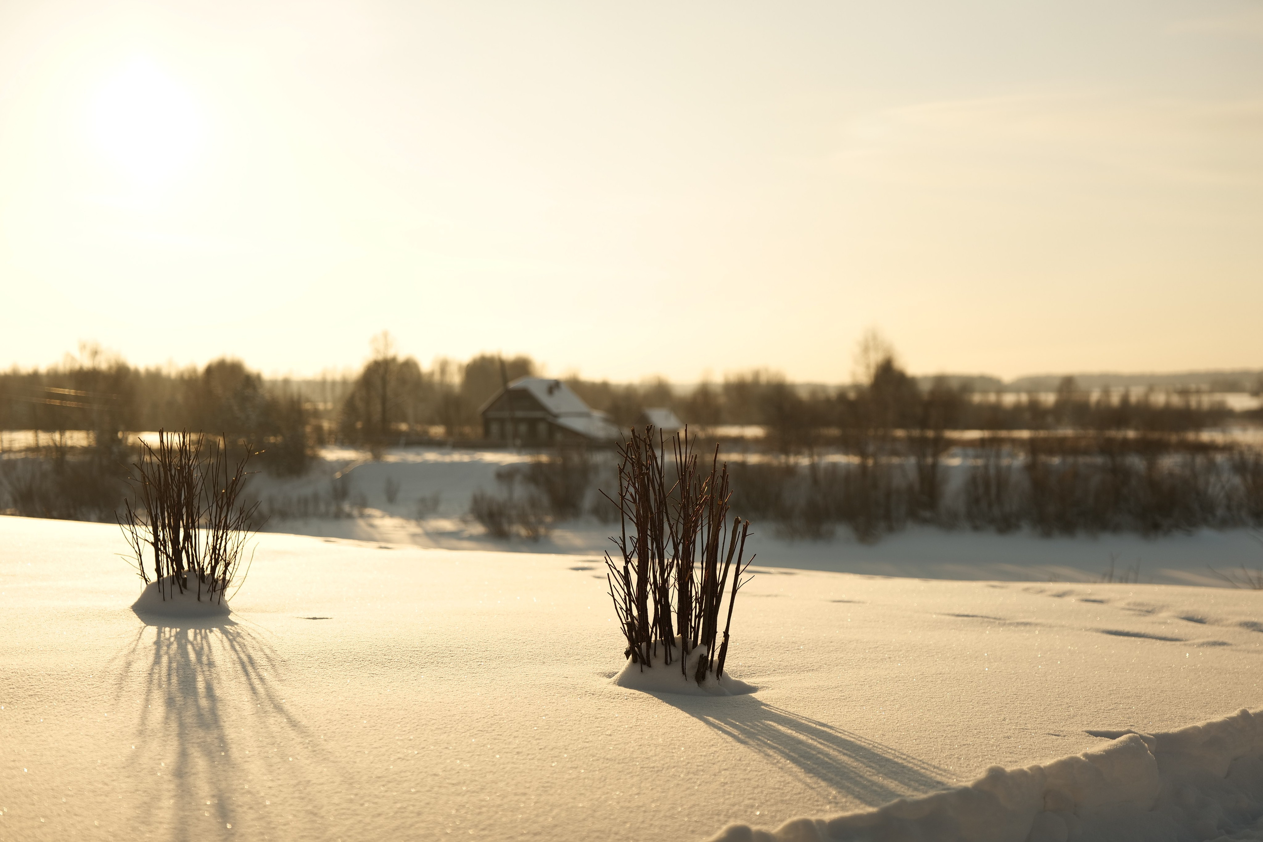 Верхотурье. Владимир Власюк