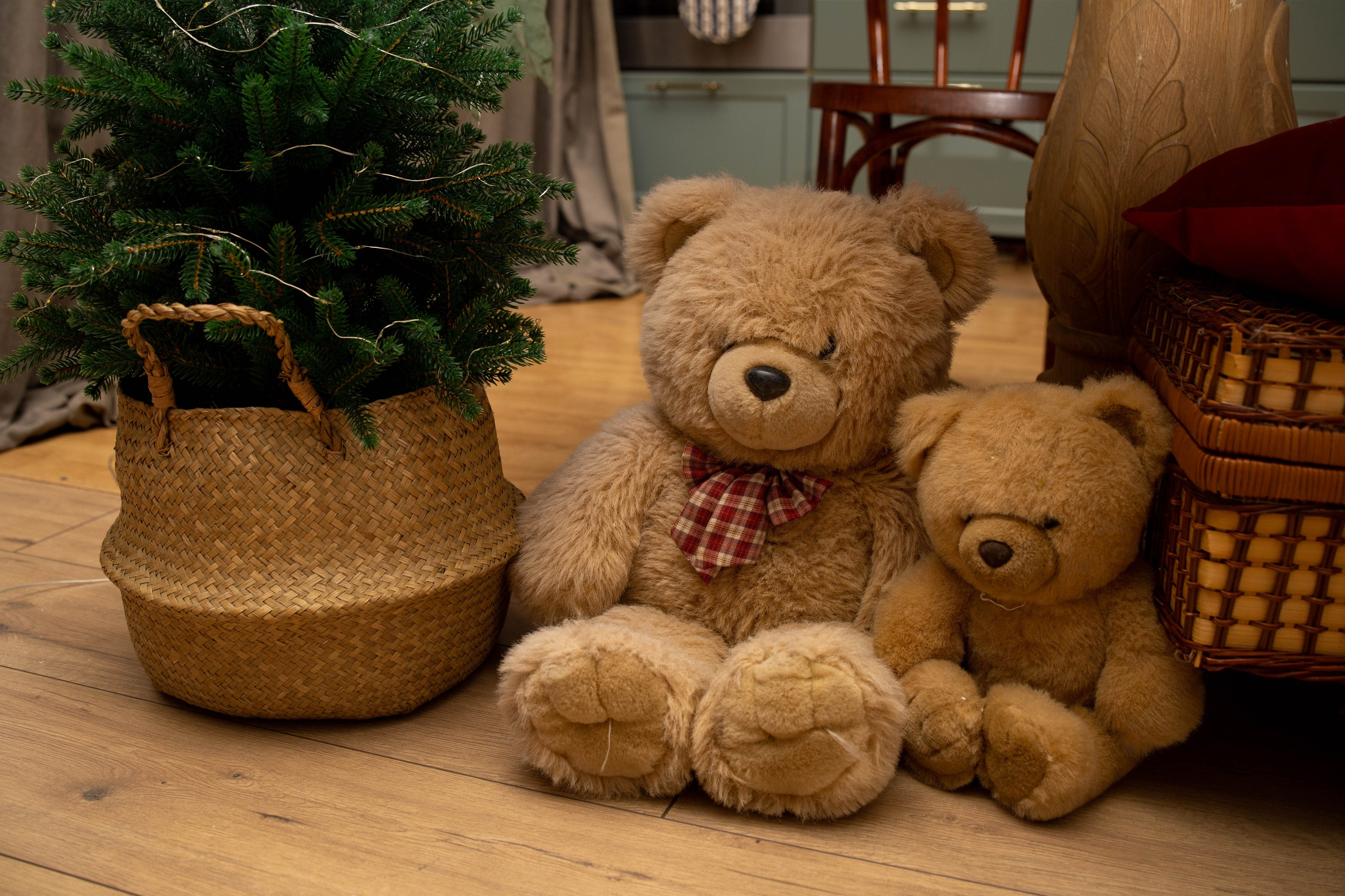 Фотосессия семейная «Новый год c пушистиком». Фотограф в Крыму Татьяна Барицкая ЕНОТИКА