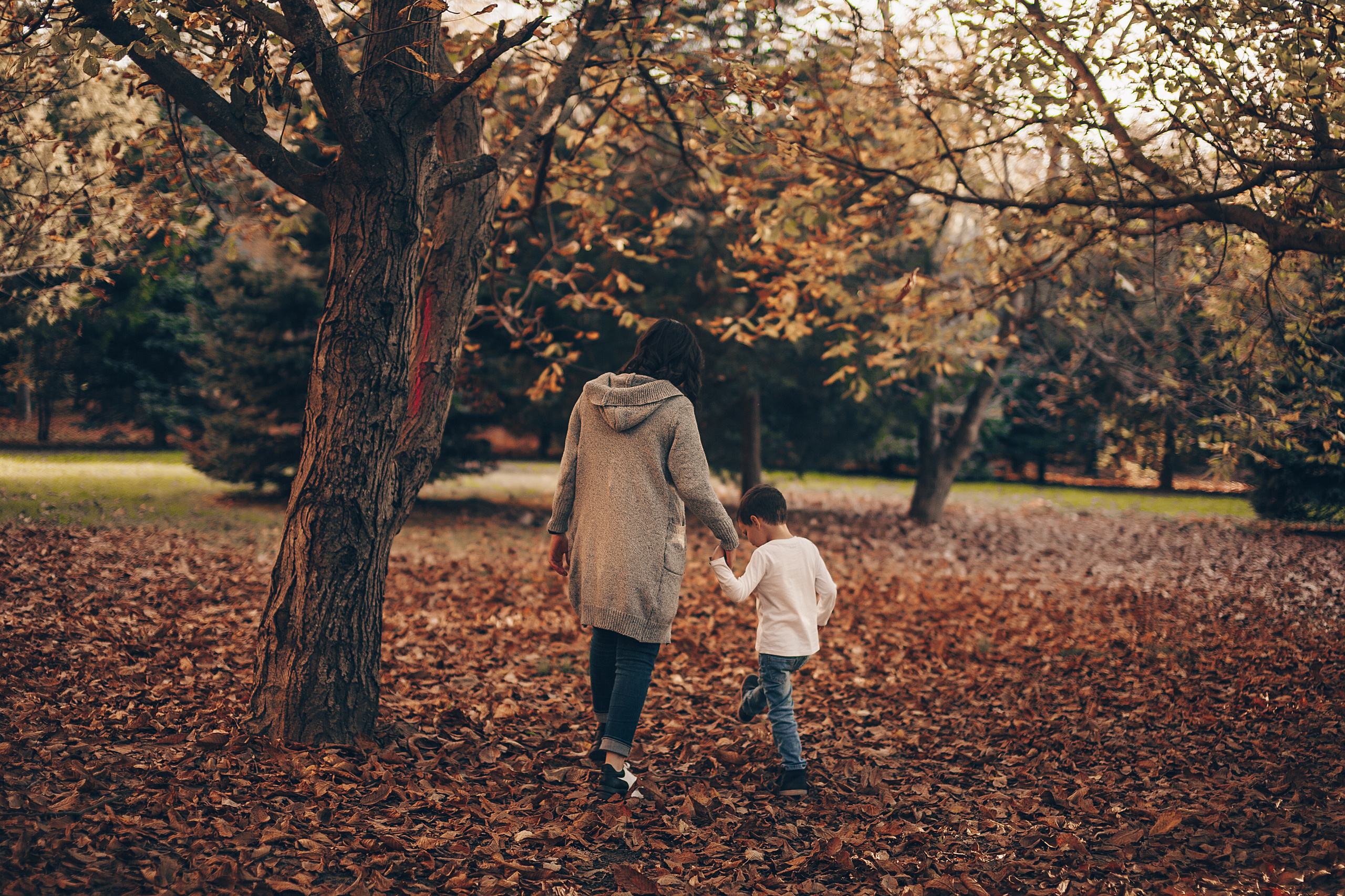 «Рождественский парк». Свадебный и семейный фотограф/видеограф в Краснодаре Наталья Осинская
