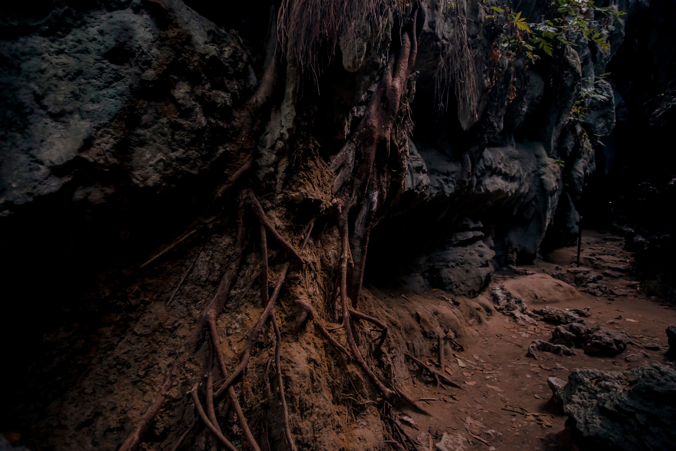 Andaman Islands, Part2. Art Photographer