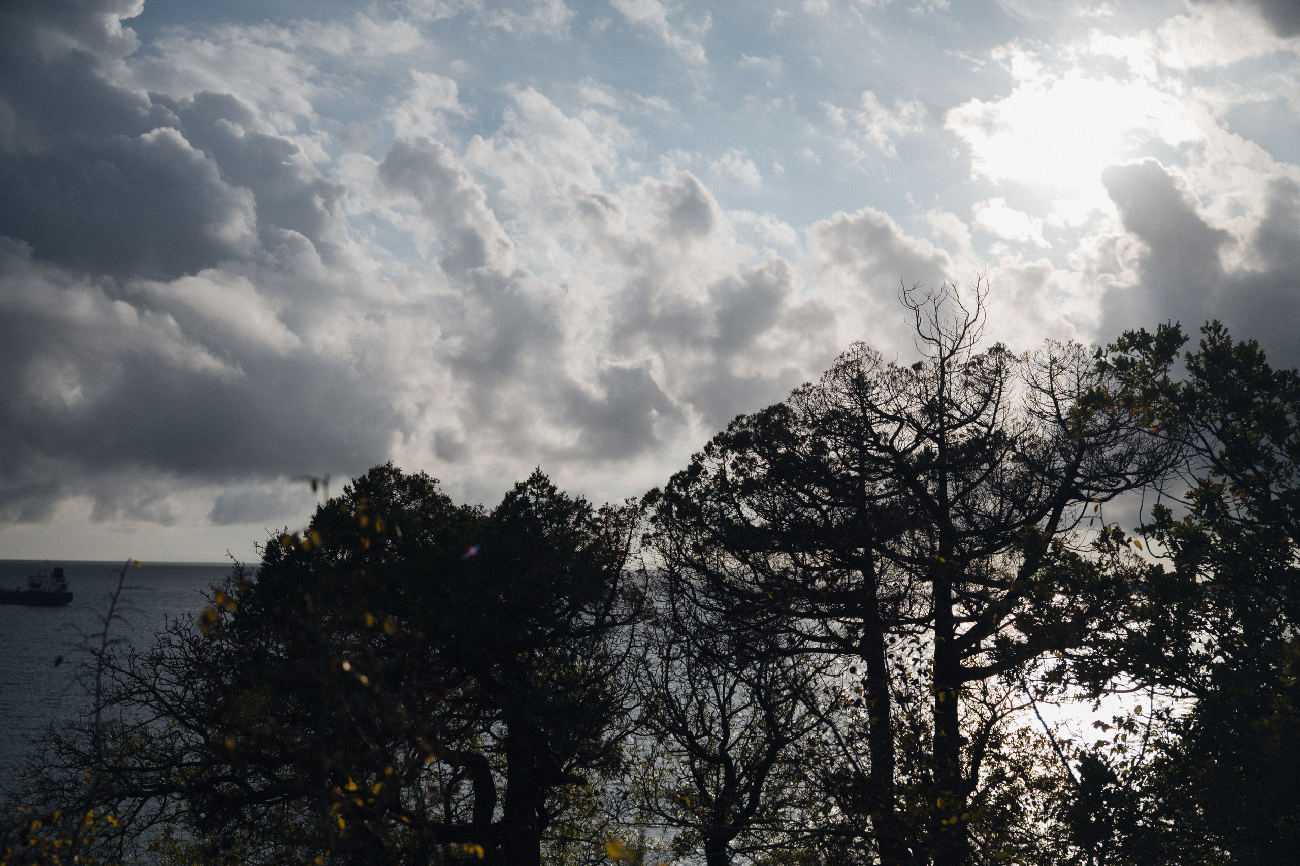 История любви Семёна и Елизаветы. Свадебный и семейный фотограф в Краснодаре Марина Стёпа