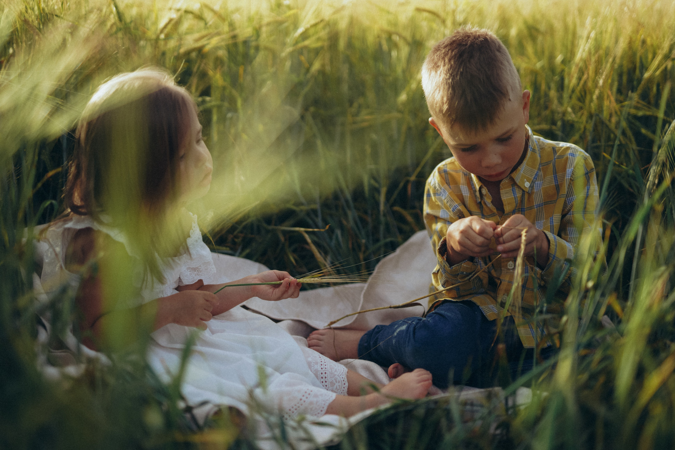 Пшеничное поле. Семейный и женский фотограф в Санкт-Петербурге Татьяна Стружкина