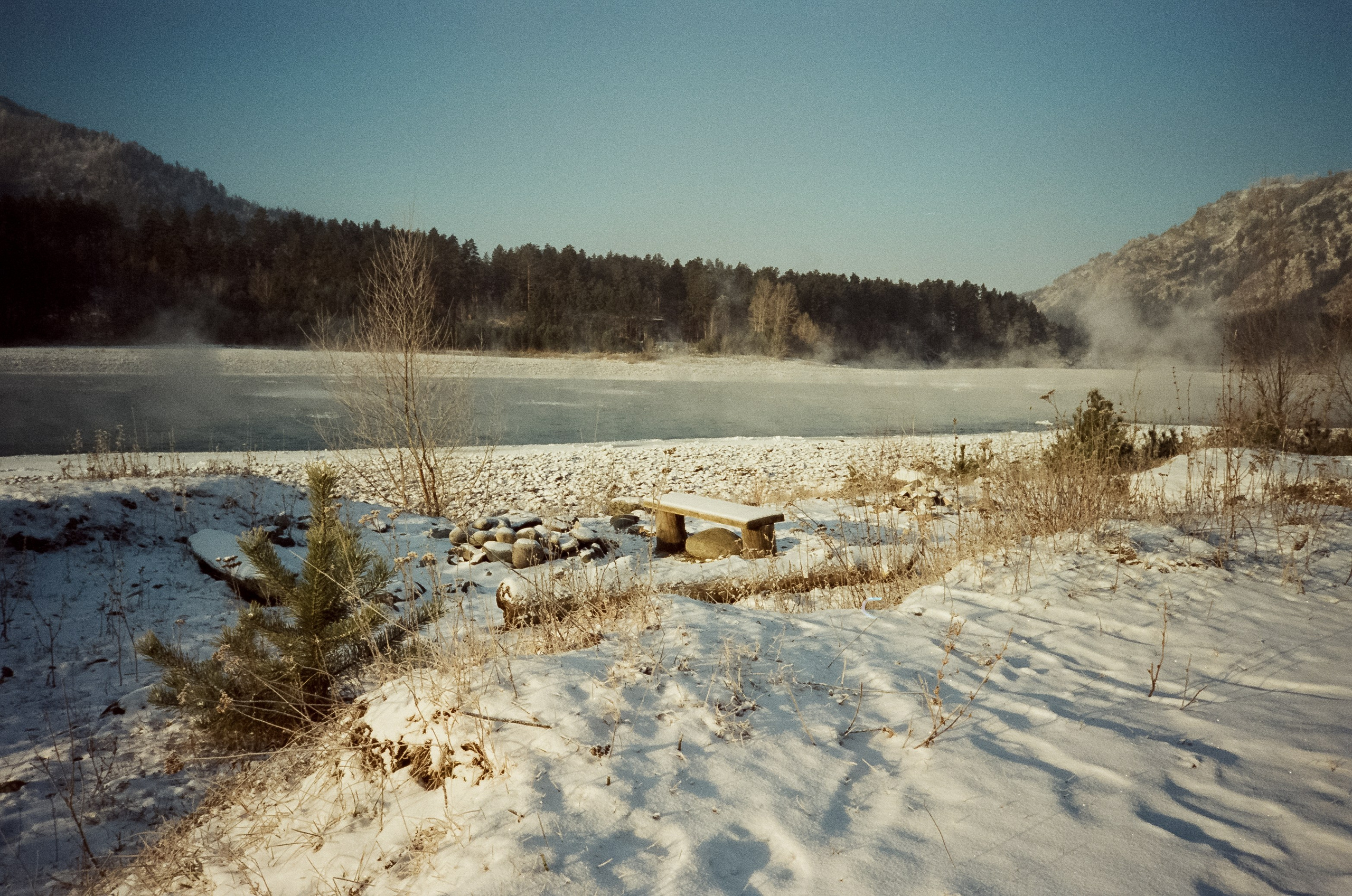 Утро в Манжероке и кафе-автобус Coffee Bus на Чемальском тракте. Фотограф-документалист Мария Осокина