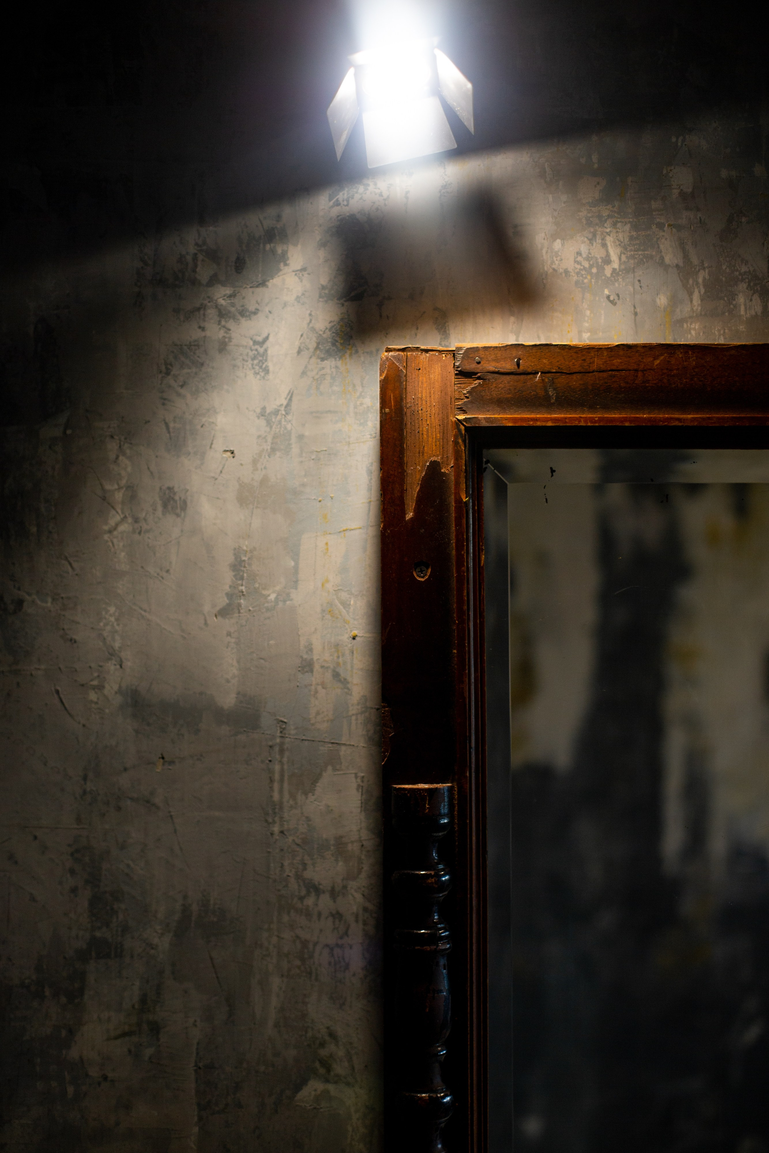 Кошкин дом. Фотограф Оля Батист