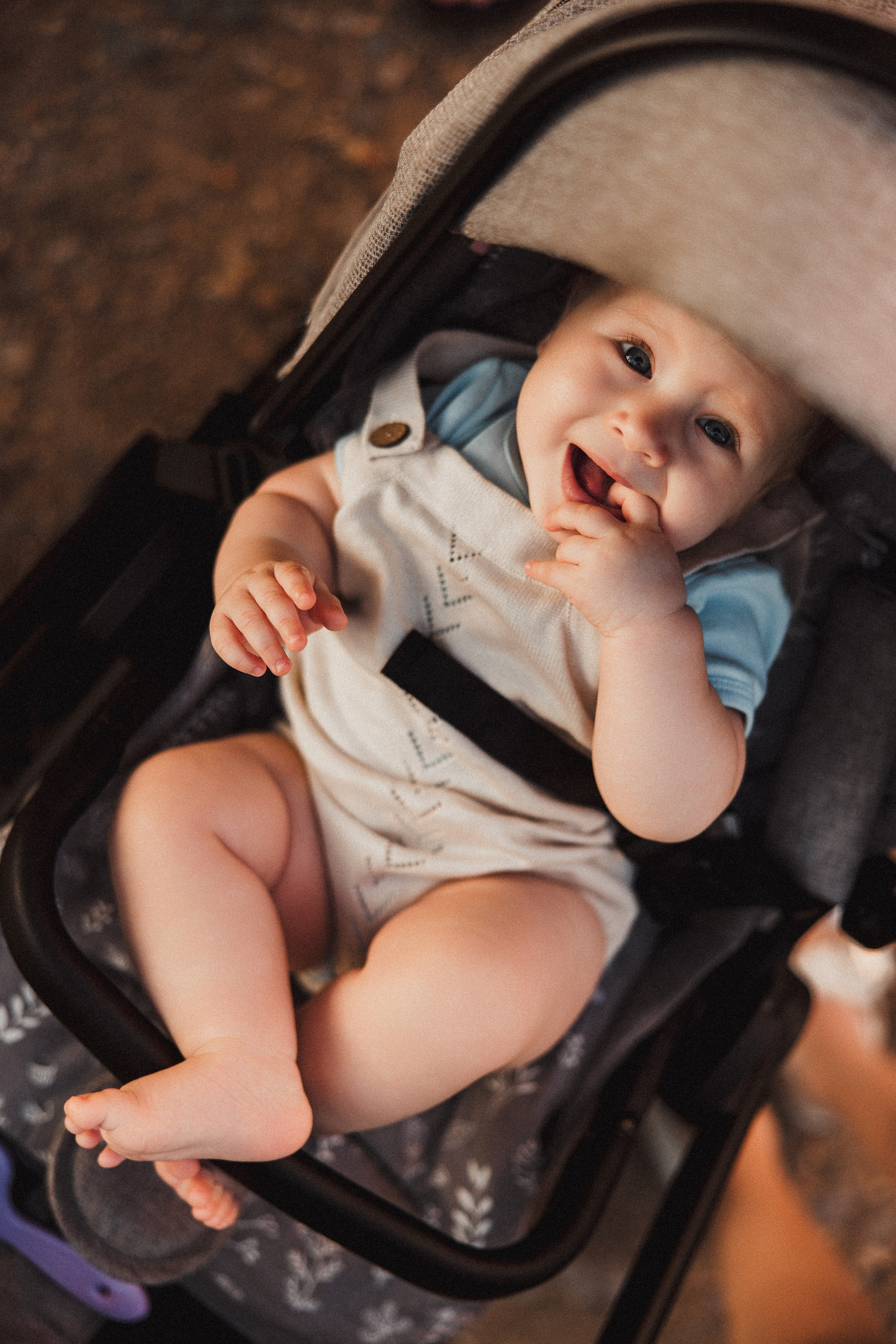 Плотина Теплое. Главная