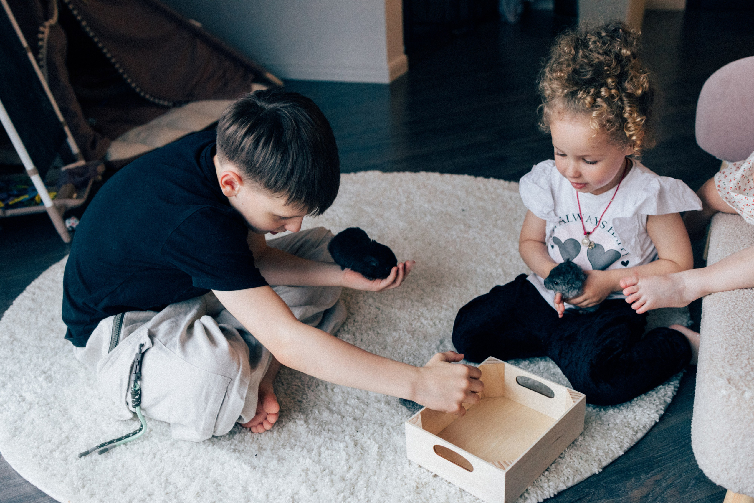 Lifstyle Фролкины. Семейный, женский и детский фотограф Татьяна Колобаева