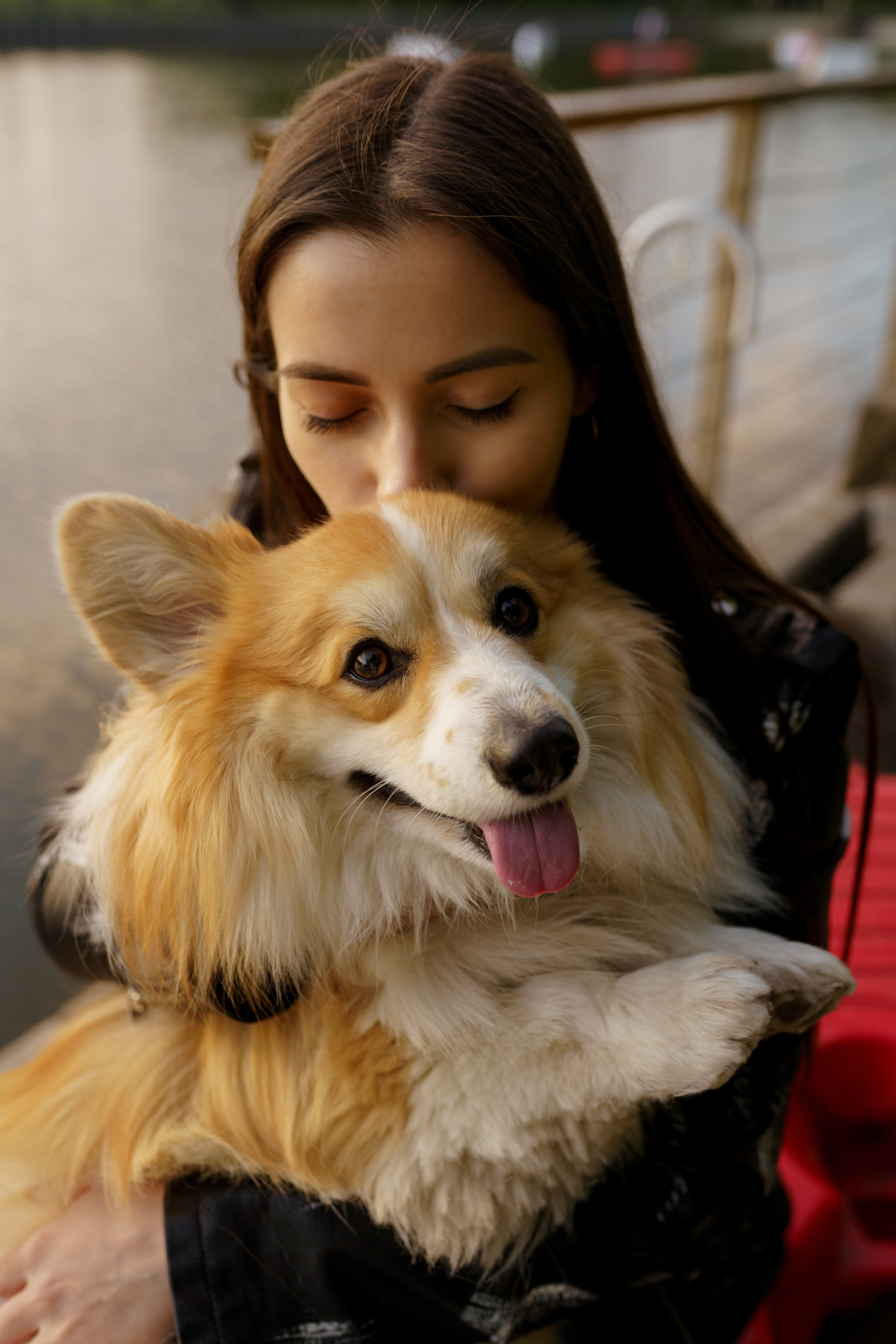 Катя, Арсений и Пух. Свадебный фотограф в Москве Анна Полушина