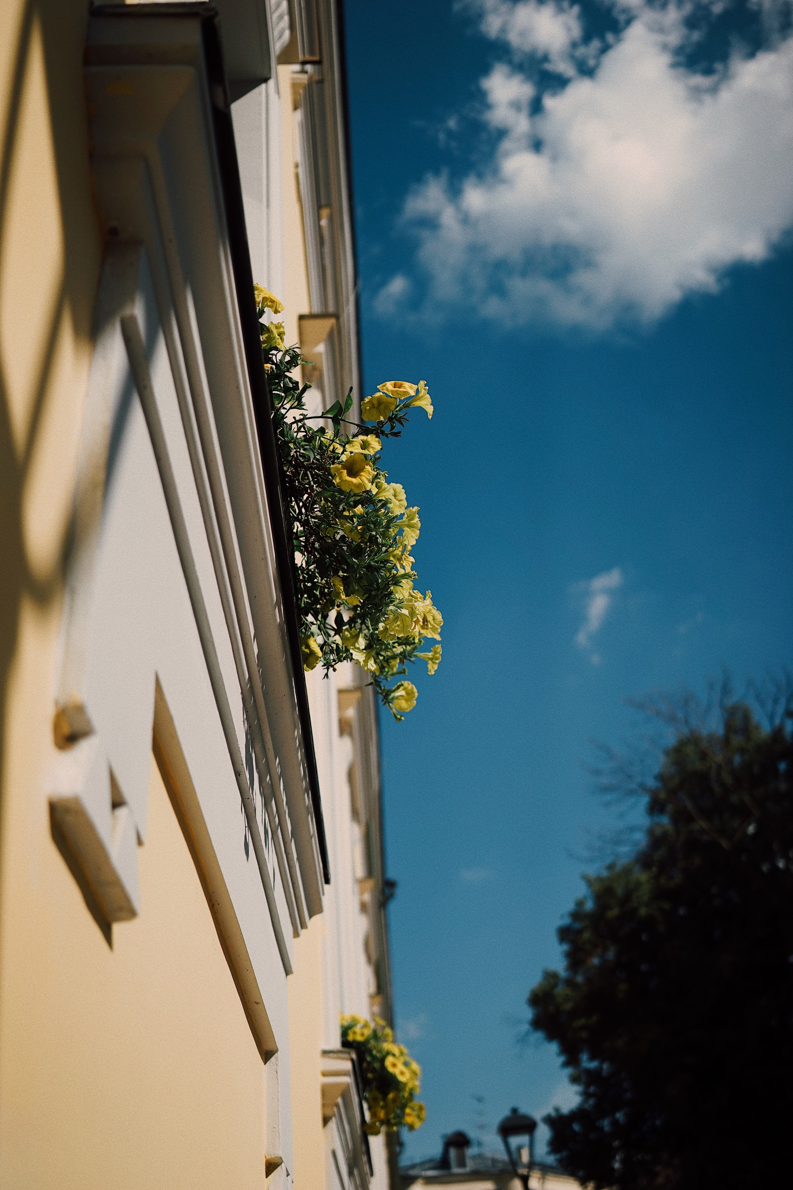 Street. Ксения Копна. Фотограф из Санкт-Петербурга